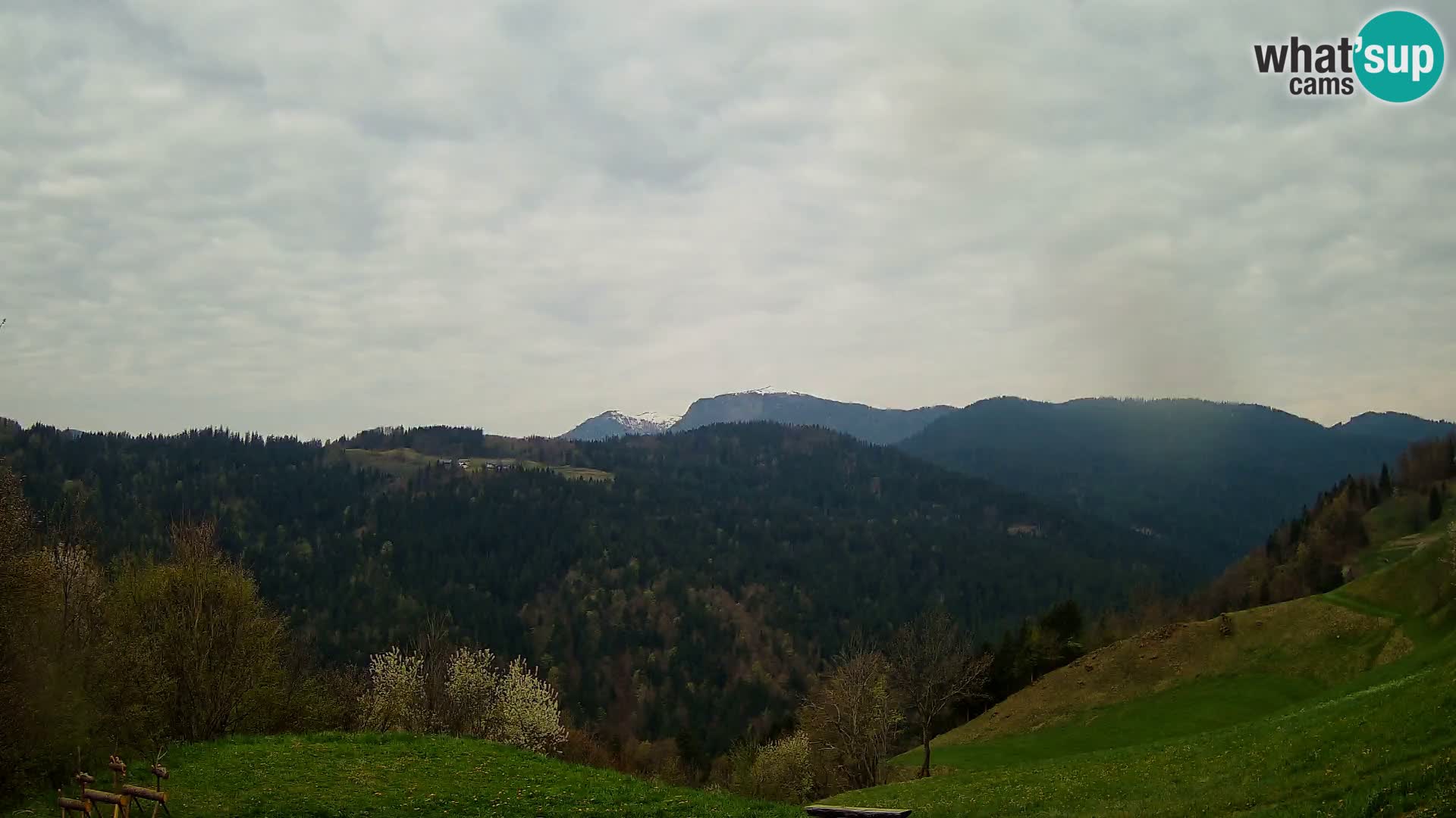 Webcam Brunarica Dražgoše – Live View of Ratitovec (1666 m)