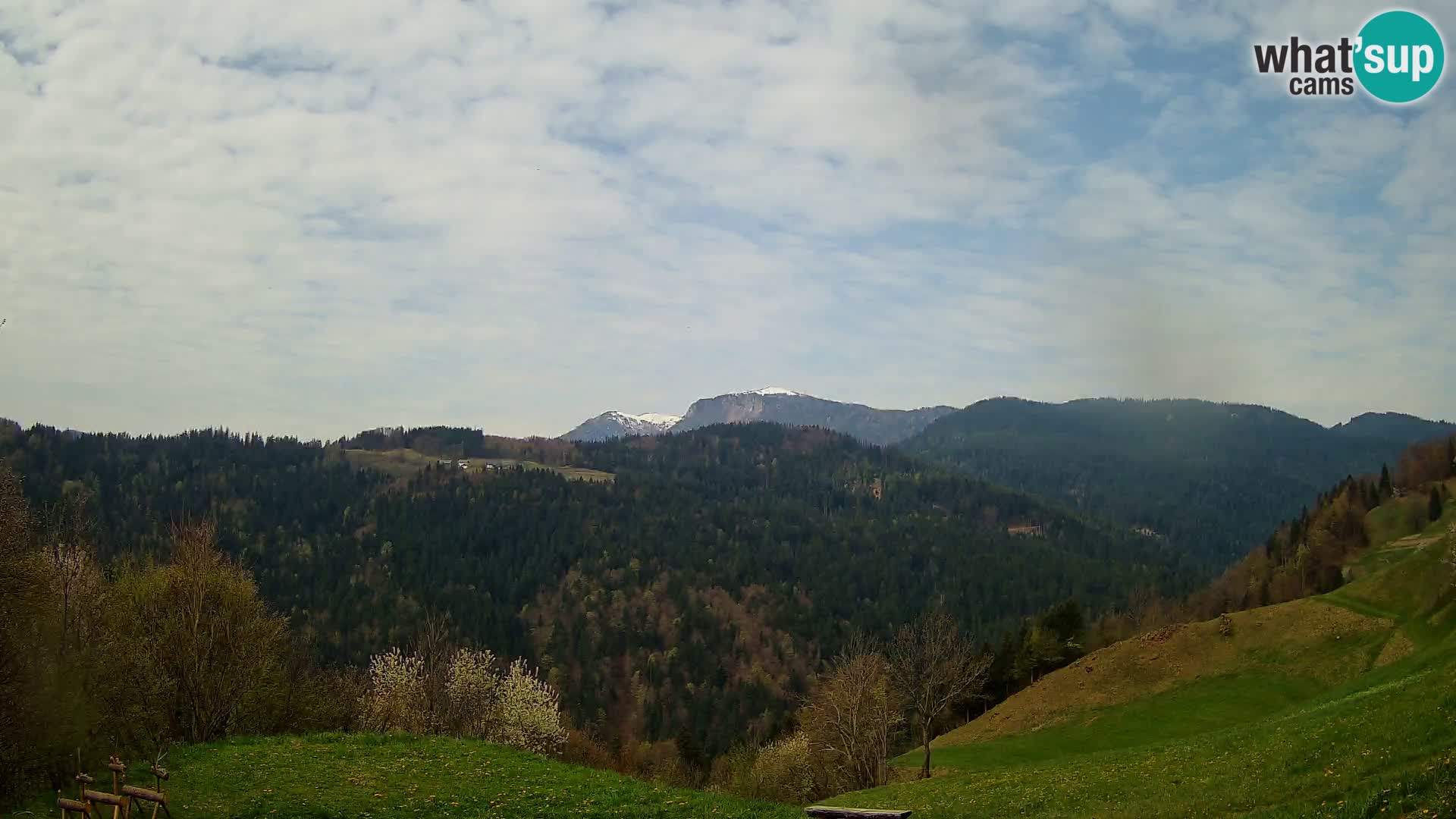 Webcam Brunarica Dražgoše – Live View of Ratitovec (1666 m)