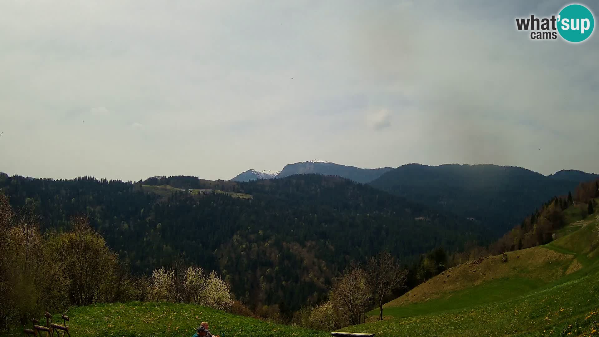 Webcam Brunarica Dražgoše – Live View of Ratitovec (1666 m)