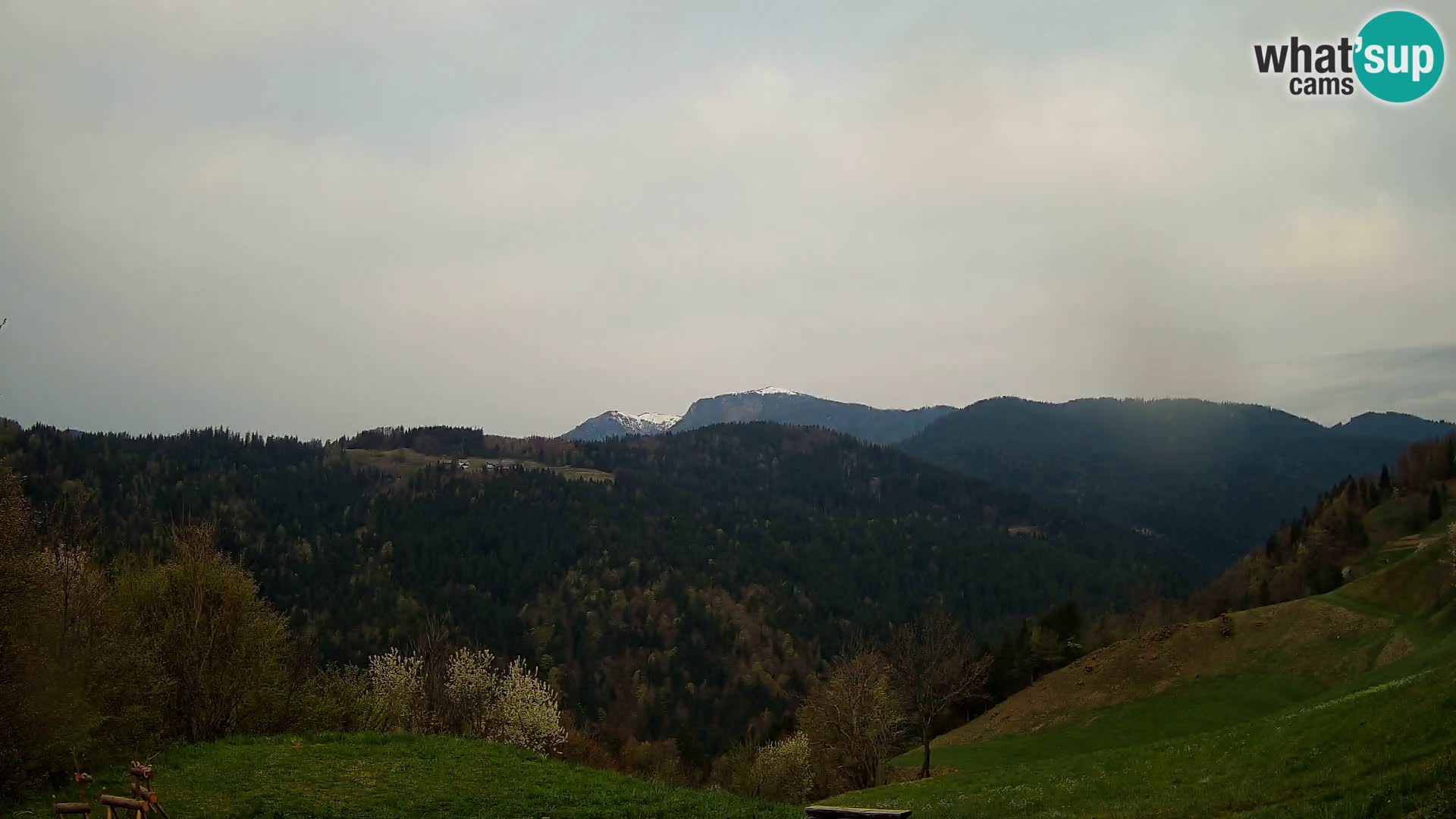 Webcam Brunarica Dražgoše – Live View of Ratitovec (1666 m)