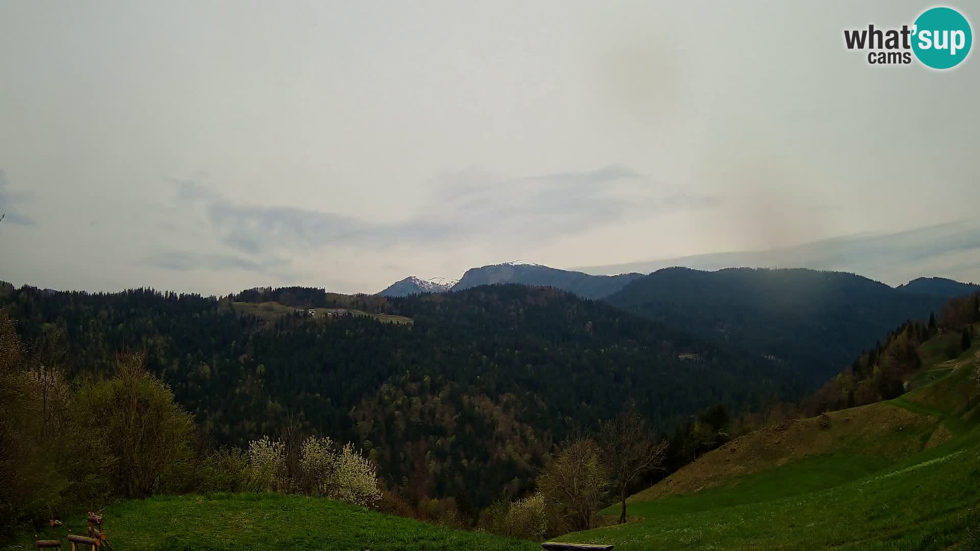 Webcam Brunarica Dražgoše – Live View of Ratitovec (1666 m)