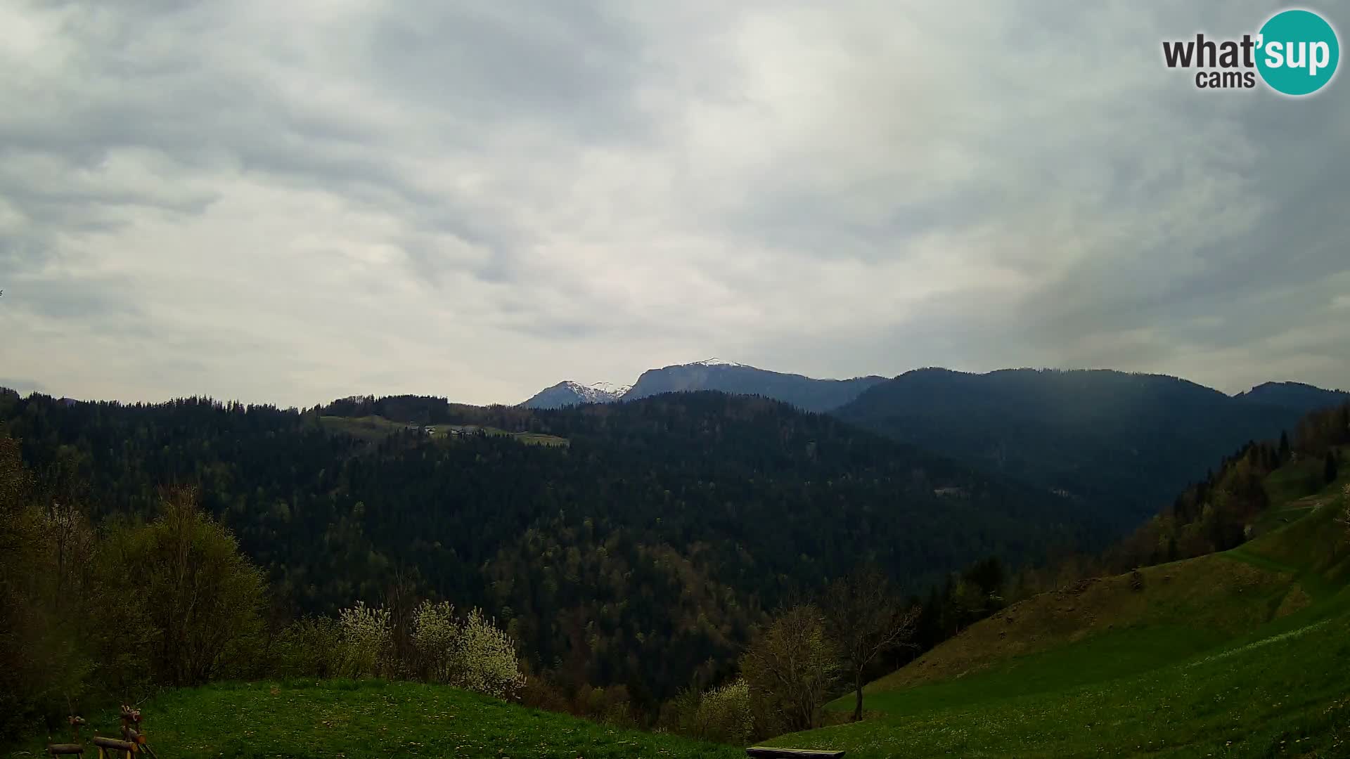 Webcam Brunarica Dražgoše – Live View of Ratitovec (1666 m)