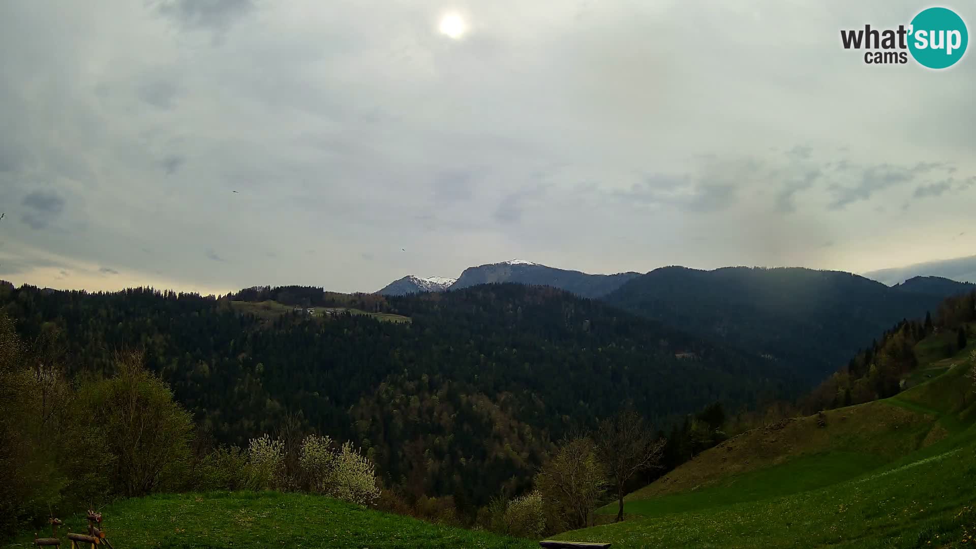 Webcam Brunarica Dražgoše – Vista live sul Ratitovec (1666 m)