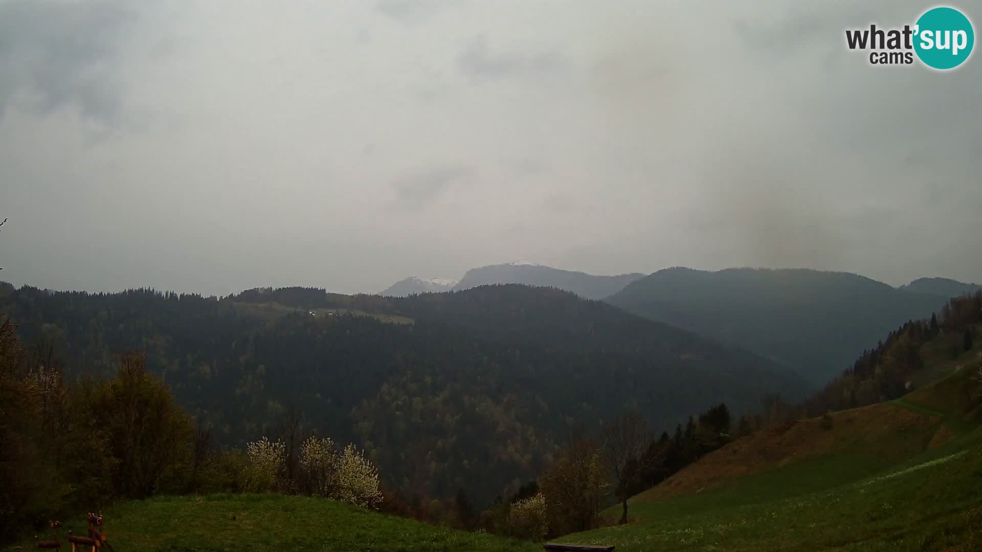 Webcam Brunarica Dražgoše – Live View of Ratitovec (1666 m)