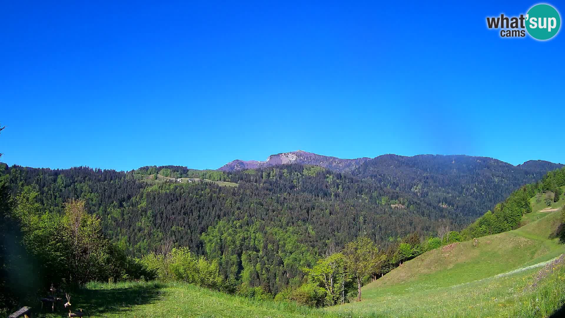 Webcam Brunarica Dražgoše – Live View of Ratitovec (1666 m)