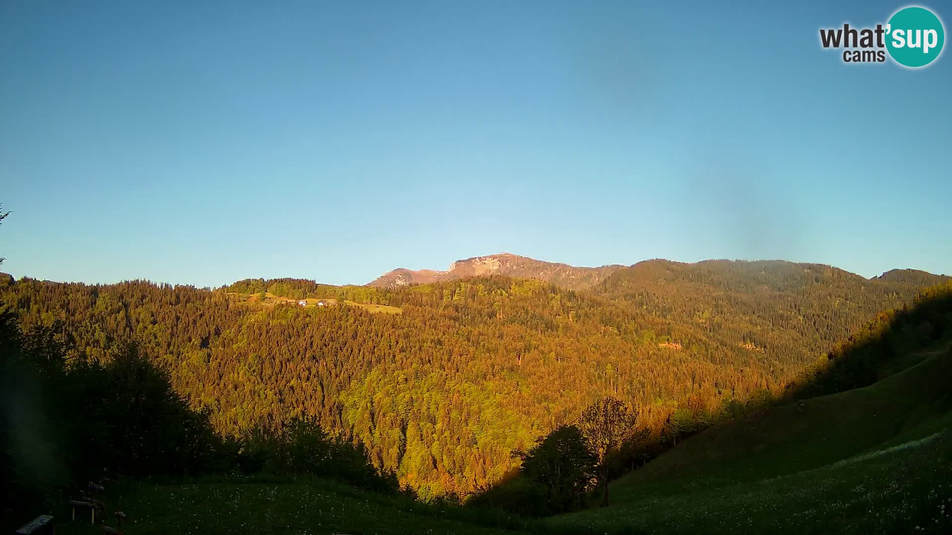 Webcam Brunarica Dražgoše – Live View of Ratitovec (1666 m)