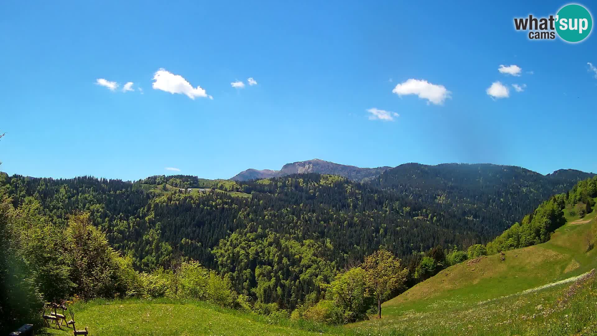 Webcam Brunarica Dražgoše – Live View of Ratitovec (1666 m)