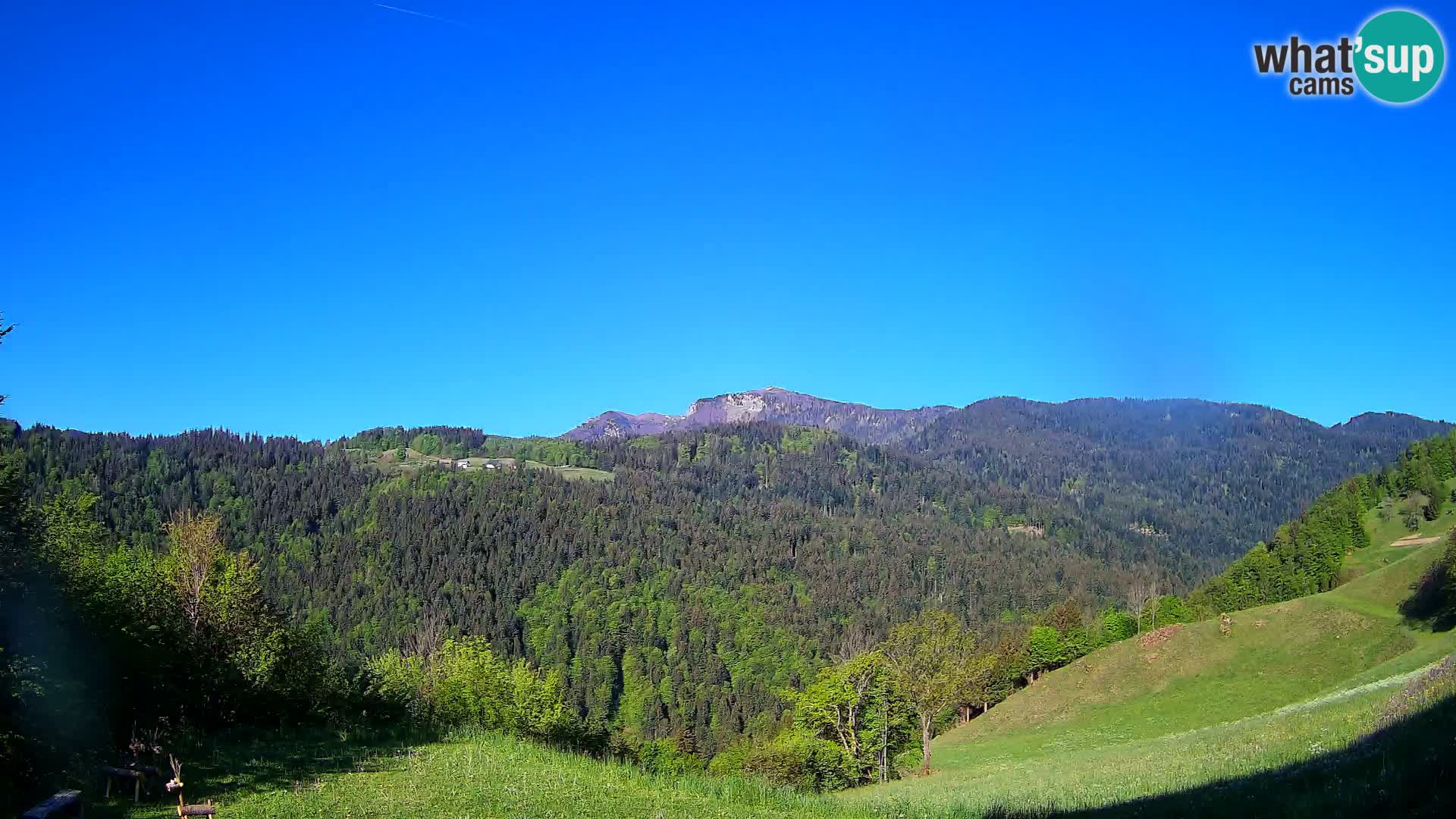 Spletna kamera Brunarica Dražgoše – Pogled v živo na Ratitovec (1666 m)
