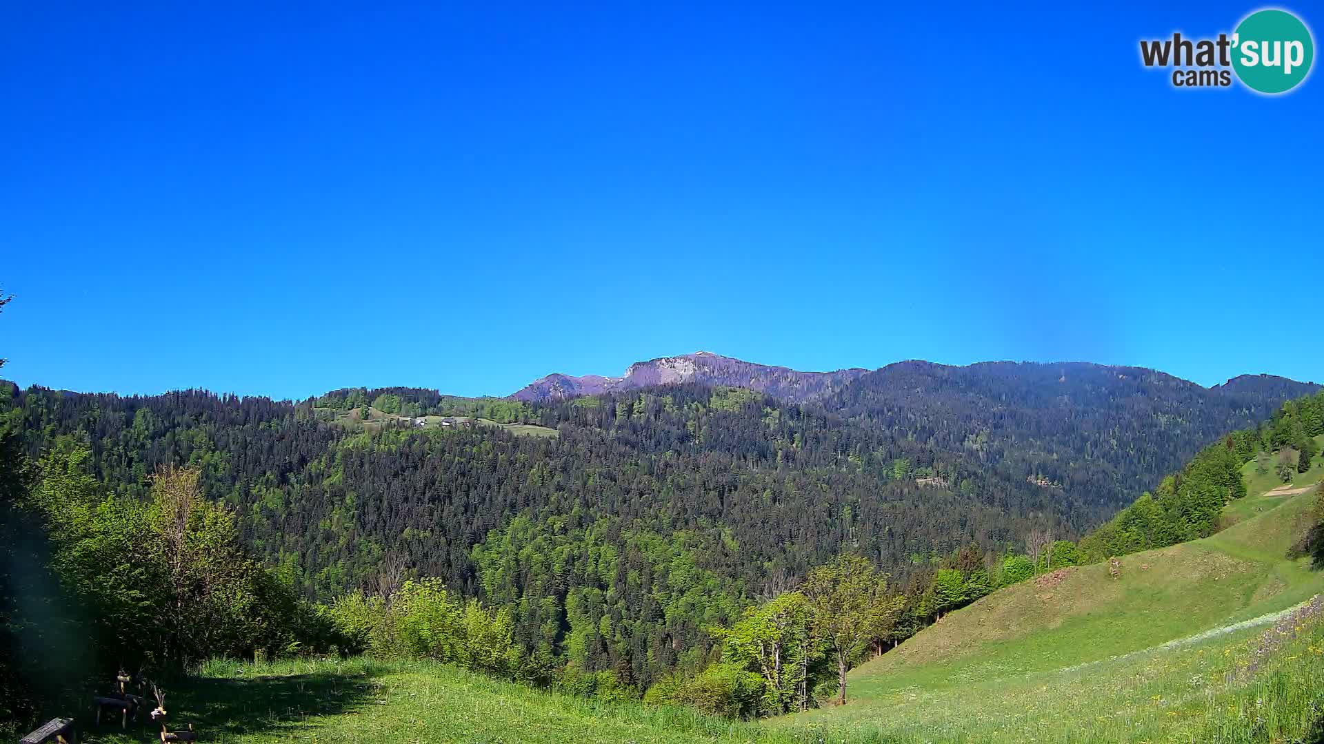 Web kamera Brunarica Dražgoše – Pogled uživo na Ratitovec (1666 m)