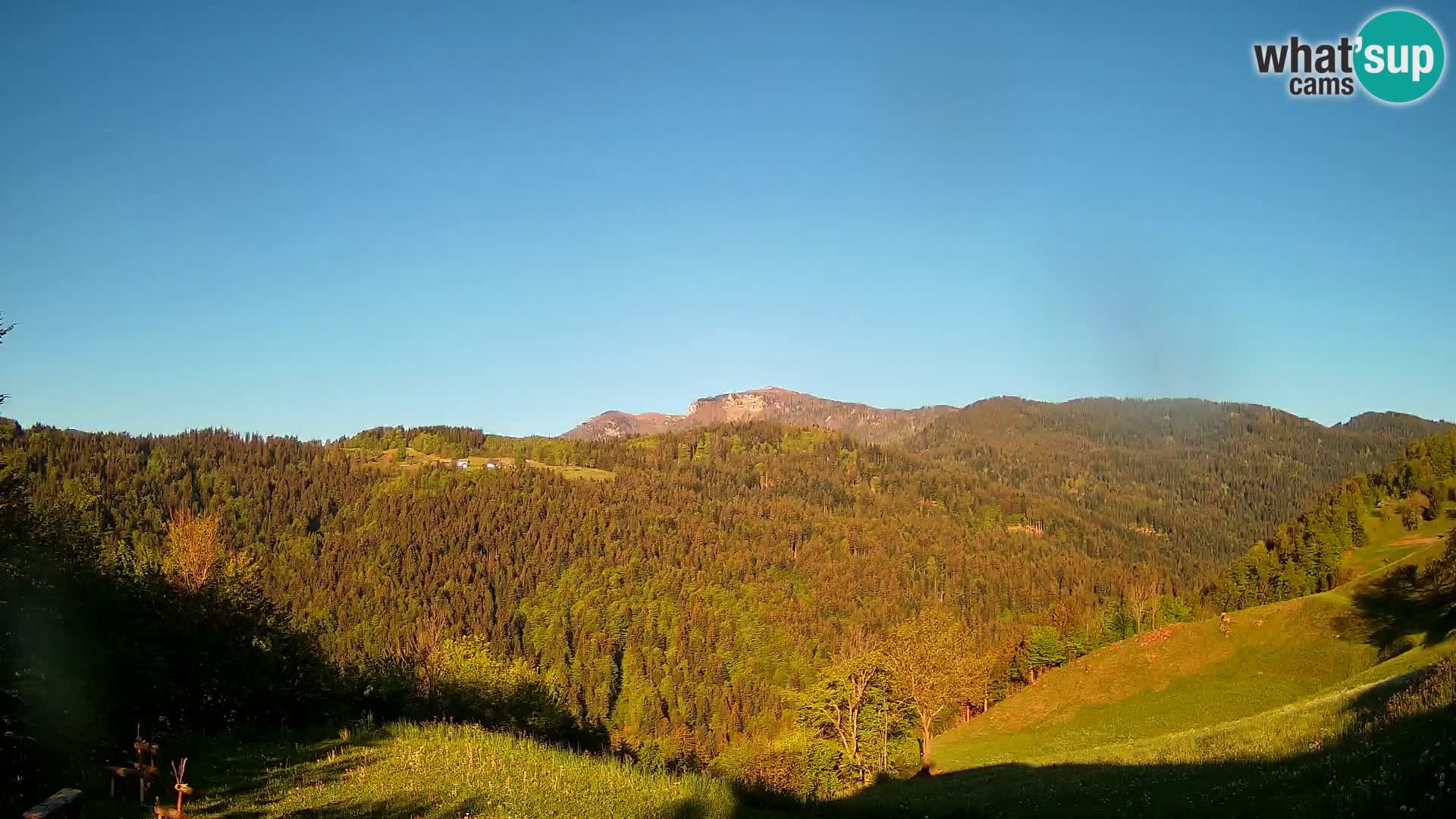 Webcam Brunarica Dražgoše – Liveblick auf Ratitovec (1666 m)