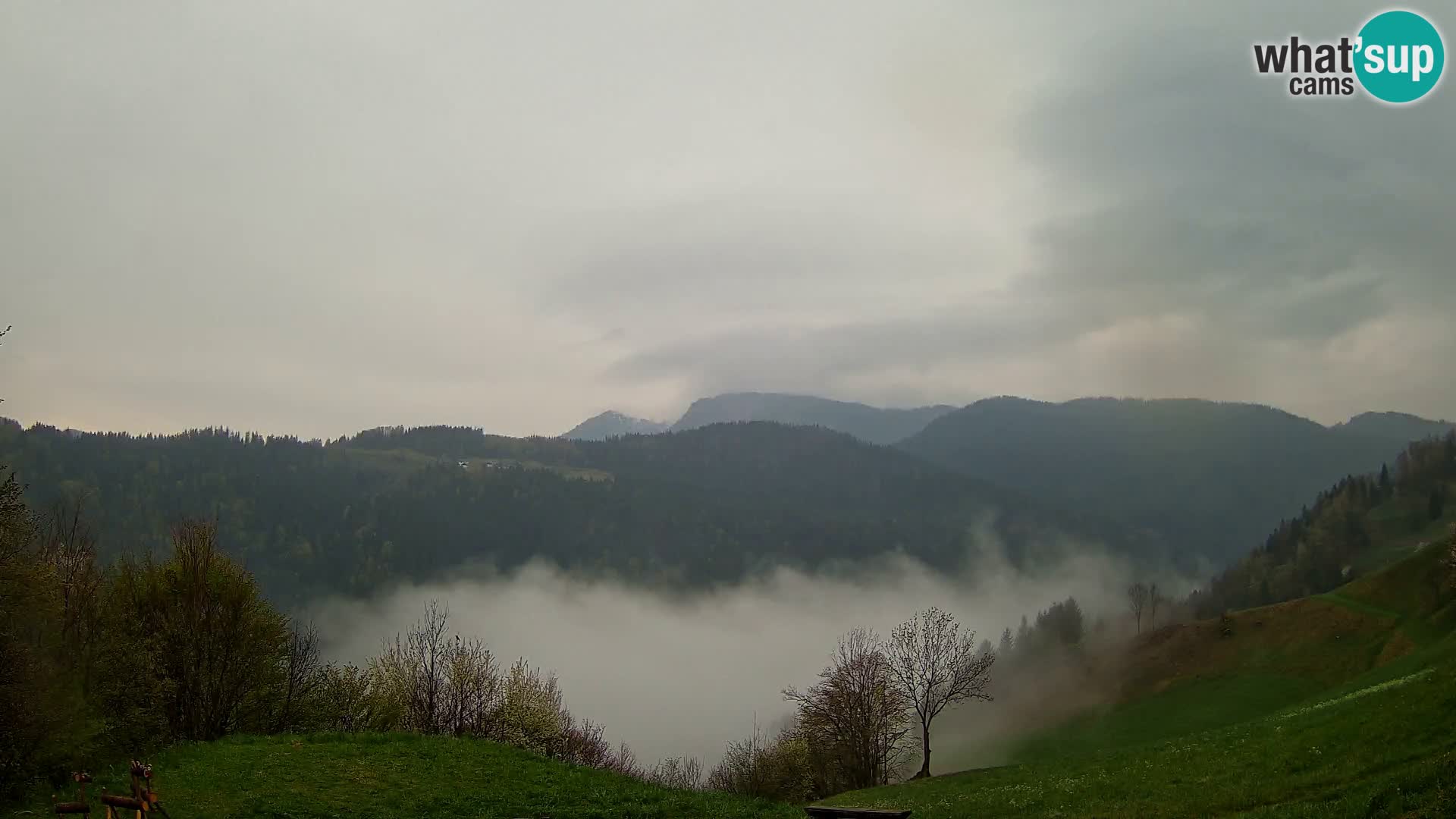 Webcam Brunarica Dražgoše – Vista live sul Ratitovec (1666 m)