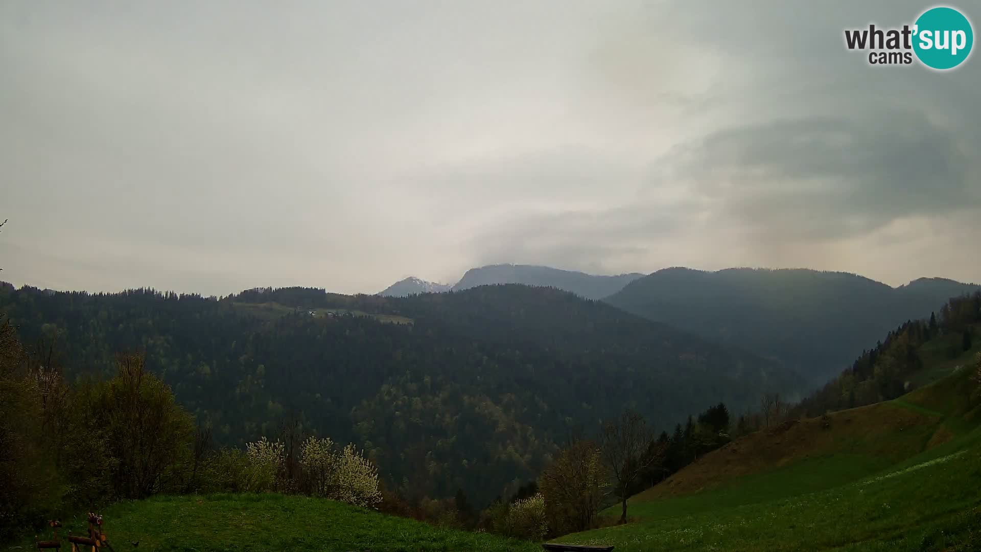 Webcam Brunarica Dražgoše – Live View of Ratitovec (1666 m)
