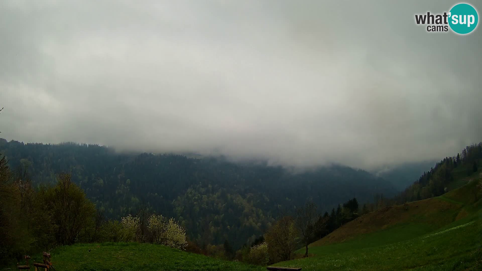 Webcam Brunarica Dražgoše – Live View of Ratitovec (1666 m)