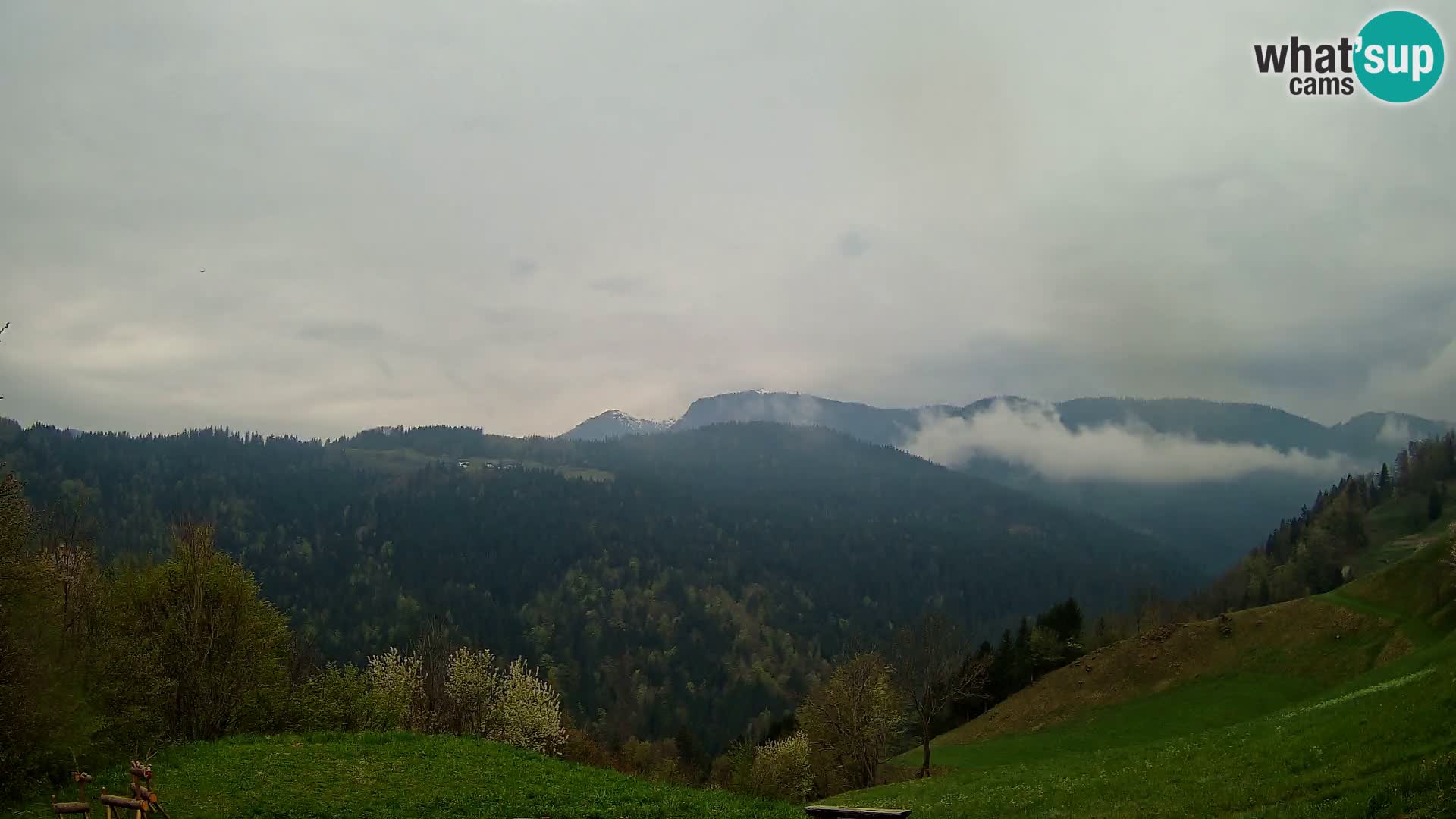 Webcam Brunarica Dražgoše – Live View of Ratitovec (1666 m)