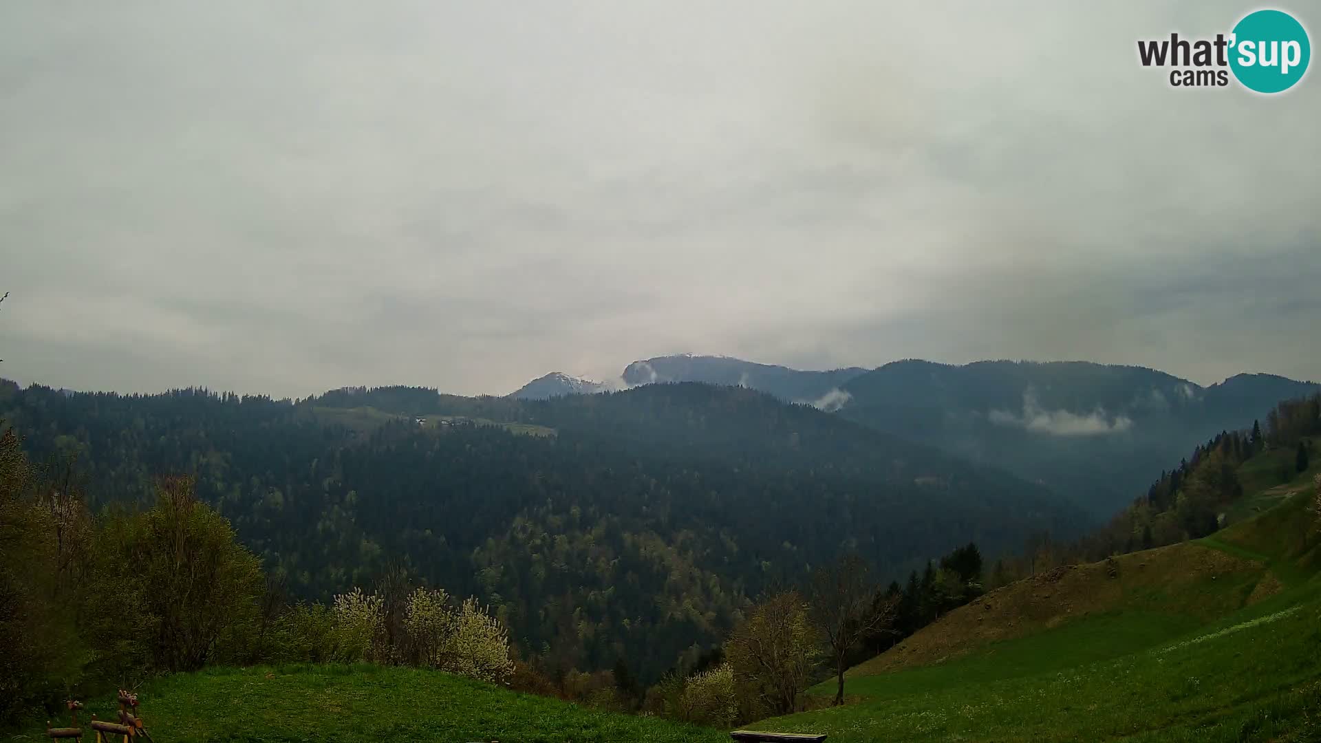 Webcam Brunarica Dražgoše – Live View of Ratitovec (1666 m)