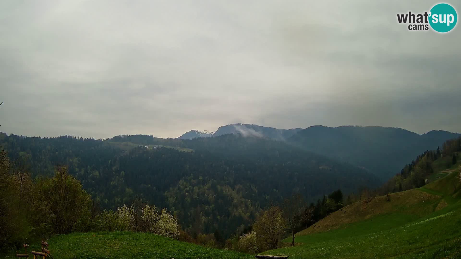 Webcam Brunarica Dražgoše – Live View of Ratitovec (1666 m)