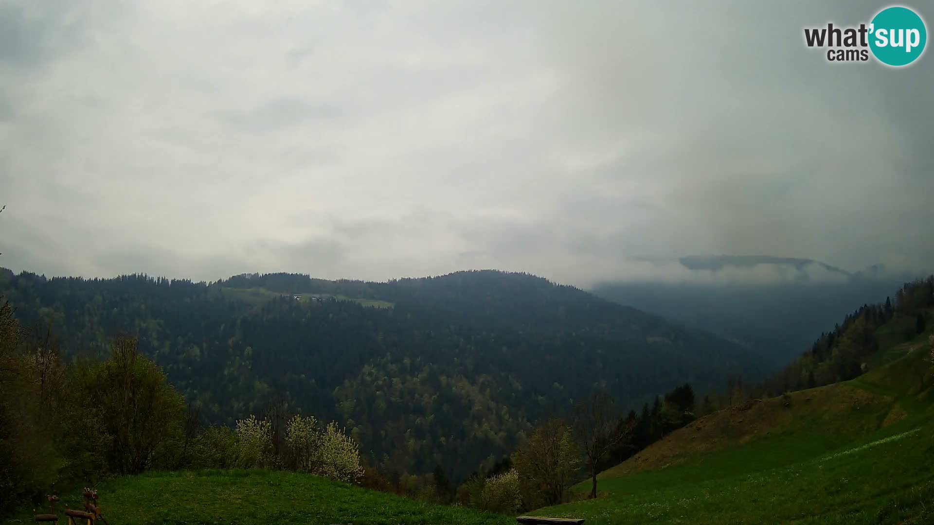 Webcam Brunarica Dražgoše – Live View of Ratitovec (1666 m)