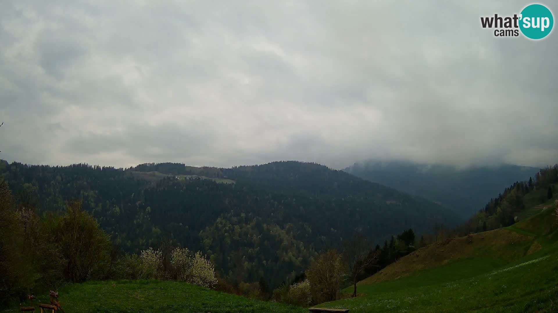 Webcam Brunarica Dražgoše – Live View of Ratitovec (1666 m)