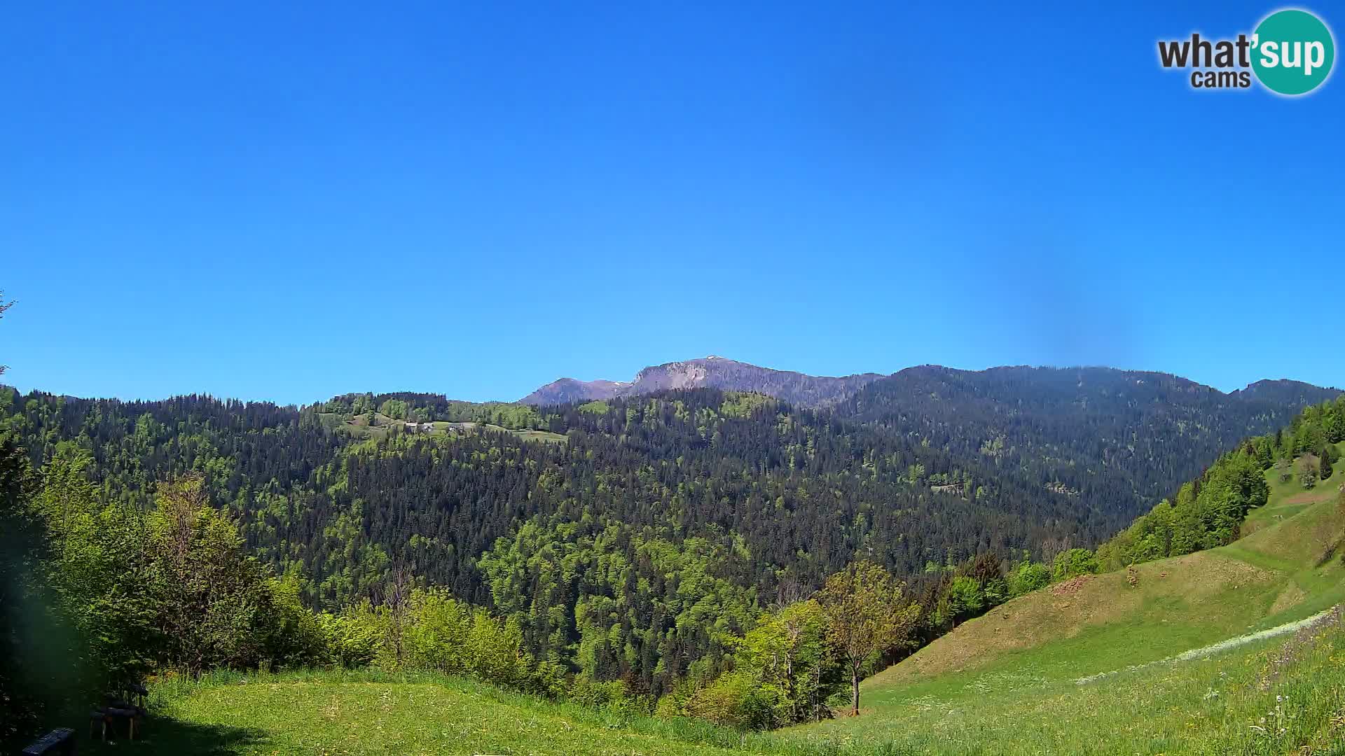 Webcam Brunarica Dražgoše – Vista live sul Ratitovec (1666 m)