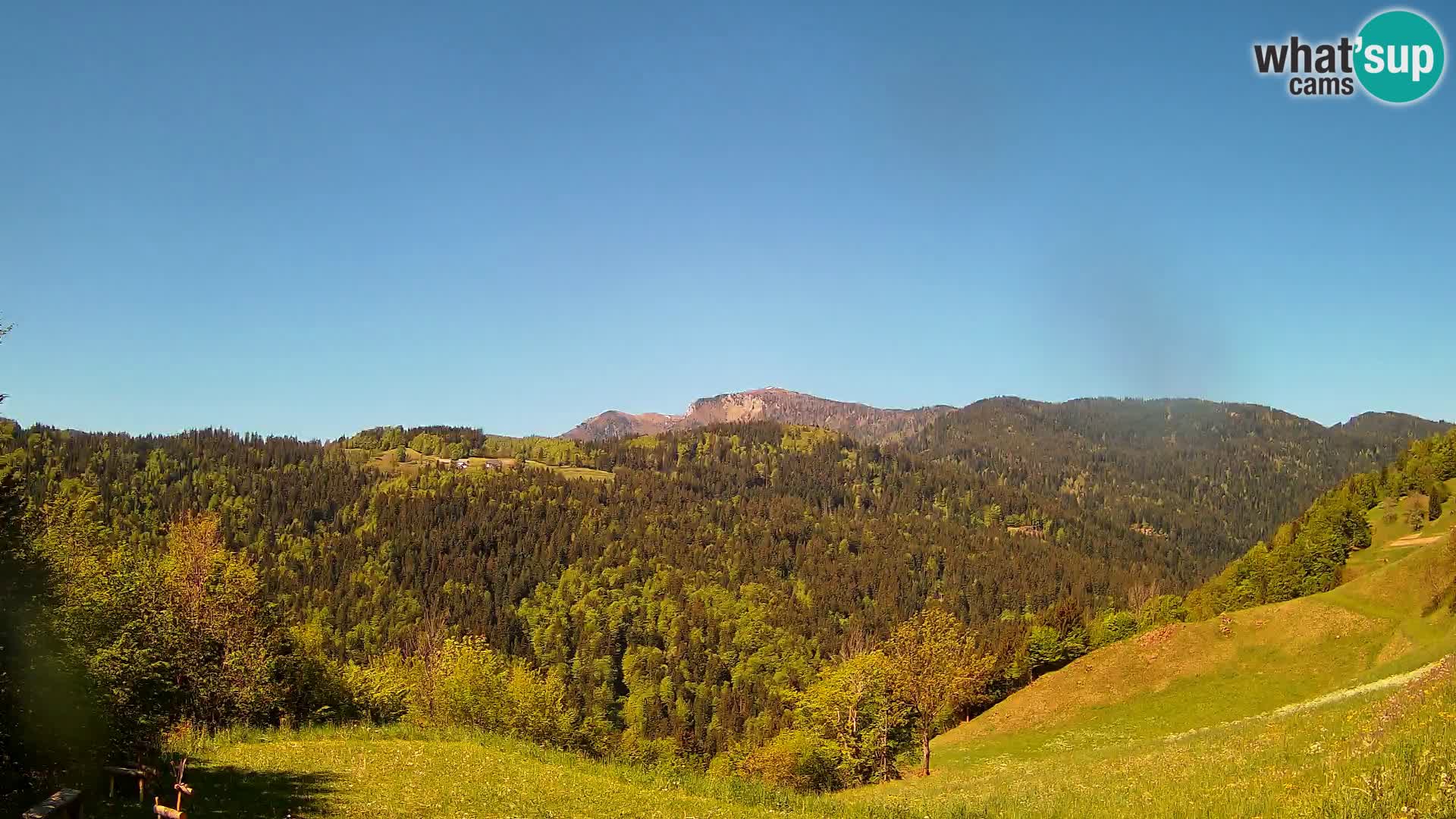 Webcam Brunarica Dražgoše – Live View of Ratitovec (1666 m)
