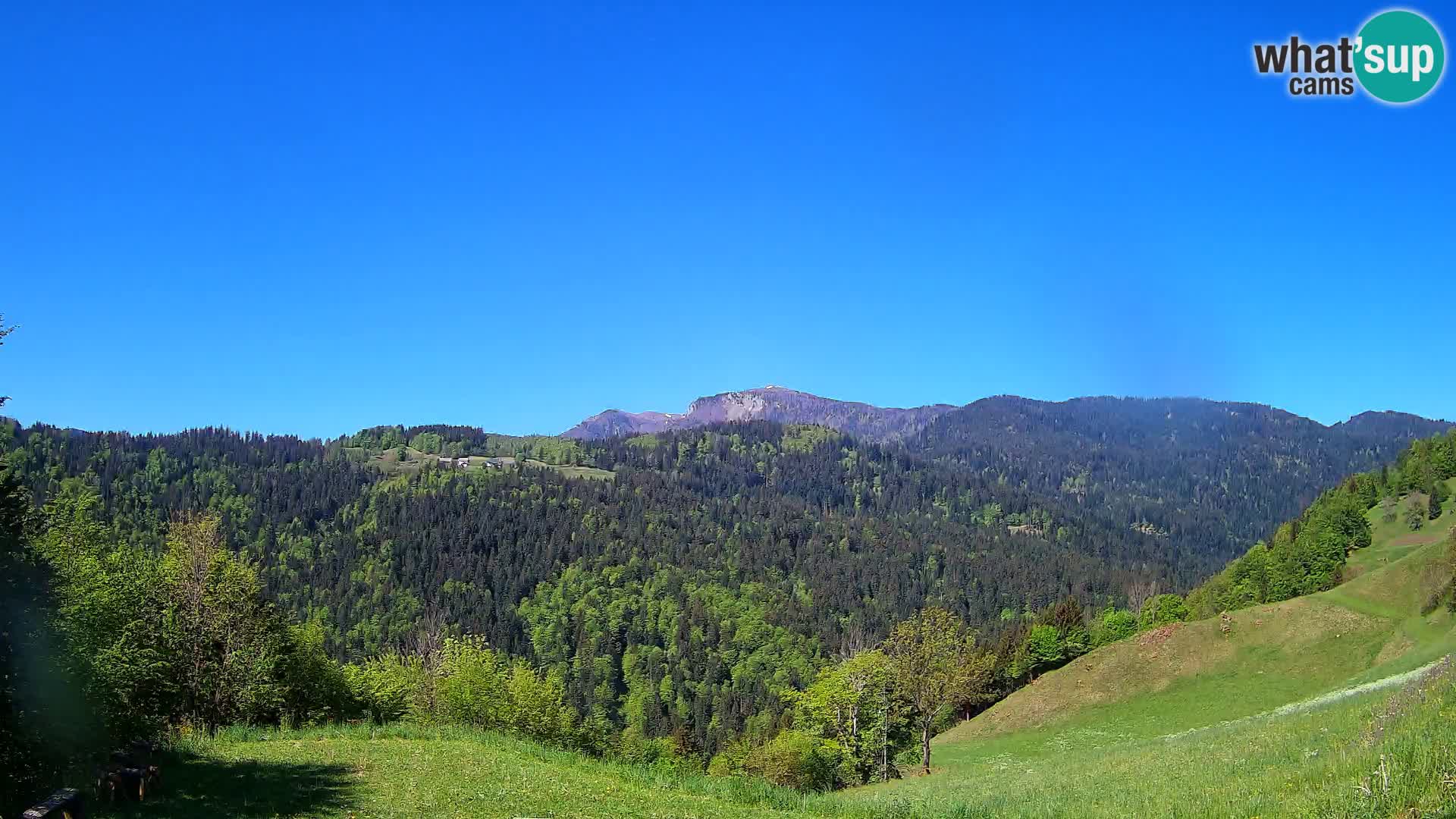 Webcam Brunarica Dražgoše – Vista live sul Ratitovec (1666 m)