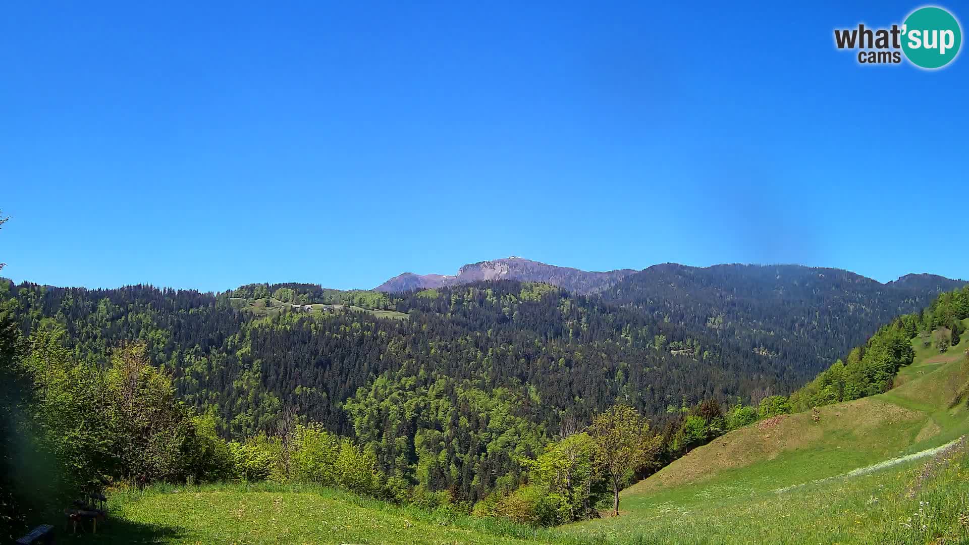 Webcam Brunarica Dražgoše – Liveblick auf Ratitovec (1666 m)