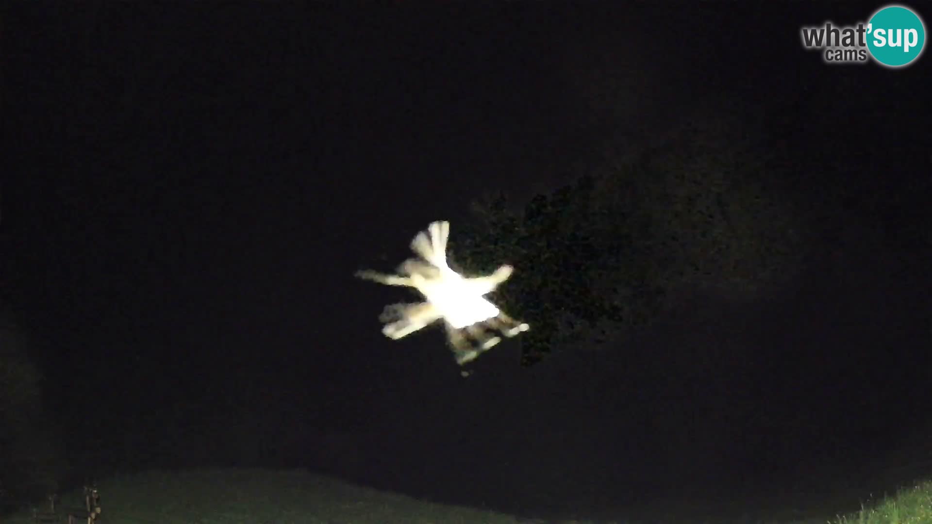 Webcam Brunarica Dražgoše – Liveblick auf Ratitovec (1666 m)