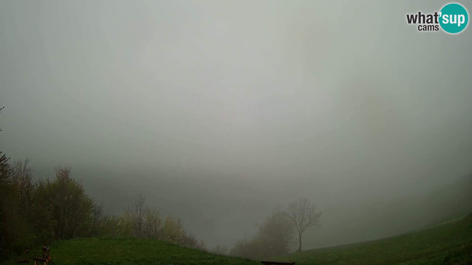 Webcam Brunarica Dražgoše – Live View of Ratitovec (1666 m)