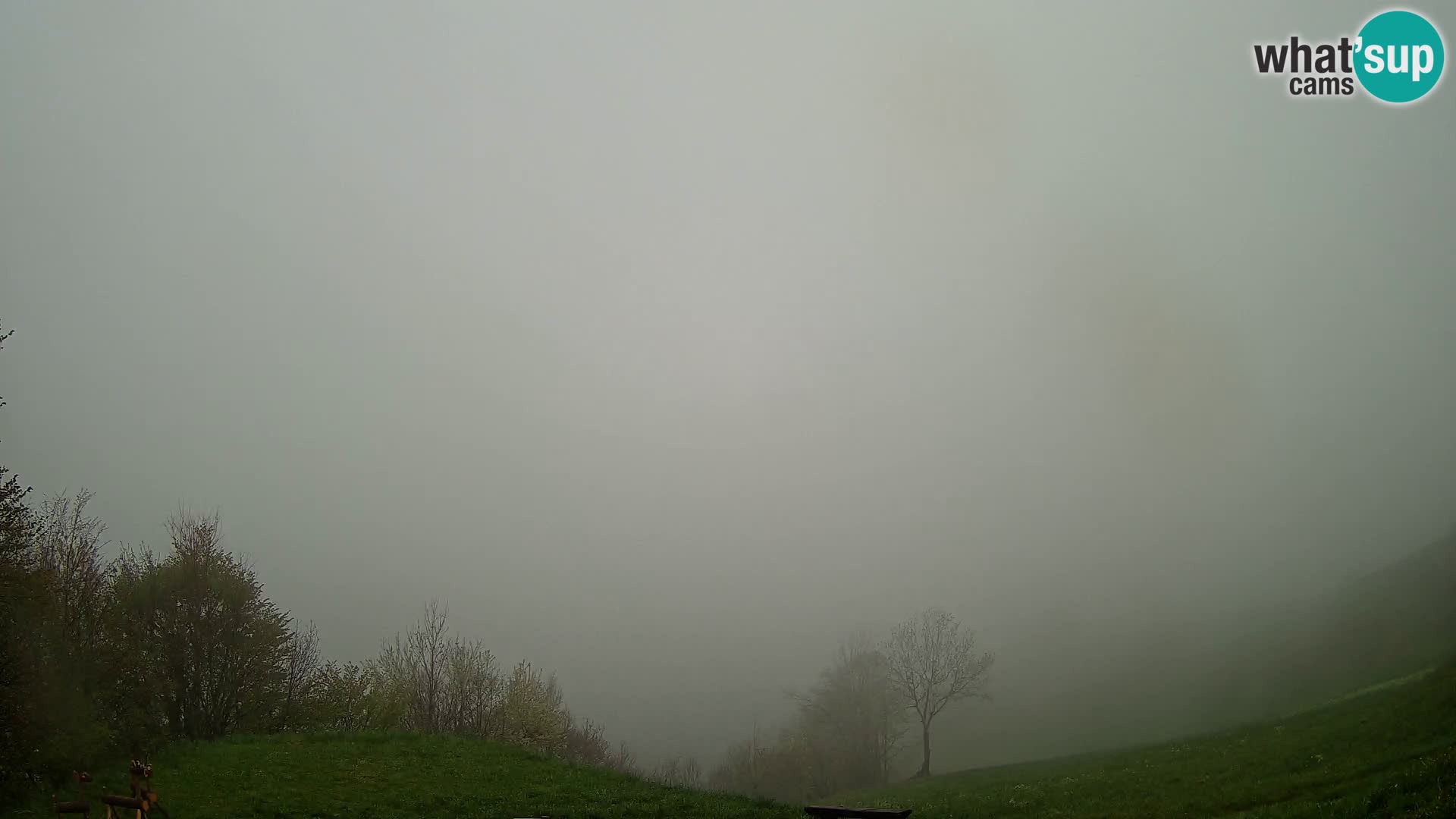 Webcam Brunarica Dražgoše – Live View of Ratitovec (1666 m)