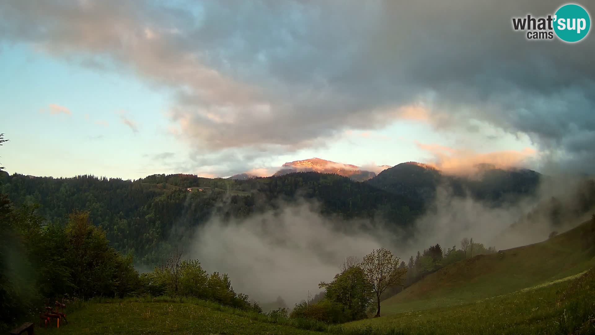 Webcam Brunarica Dražgoše – Live View of Ratitovec (1666 m)