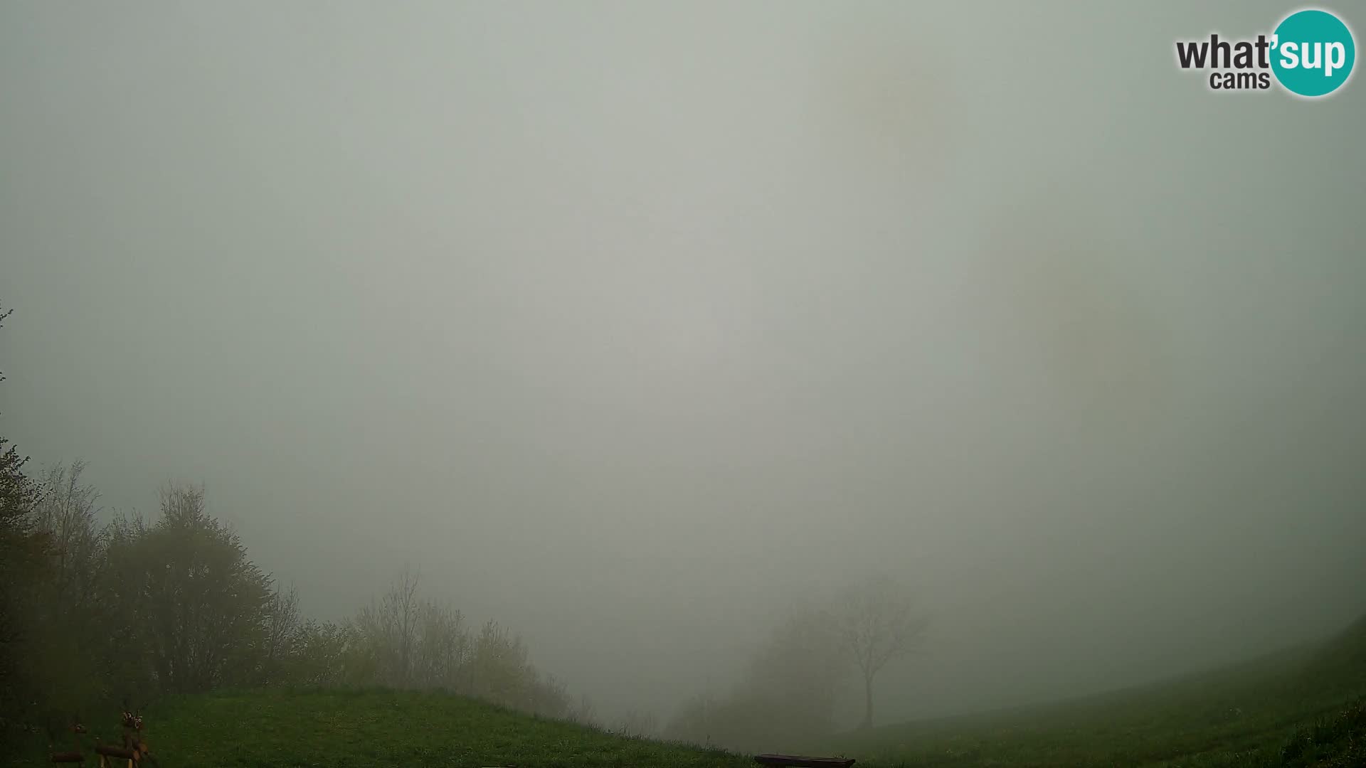 Webcam Brunarica Dražgoše – Live View of Ratitovec (1666 m)