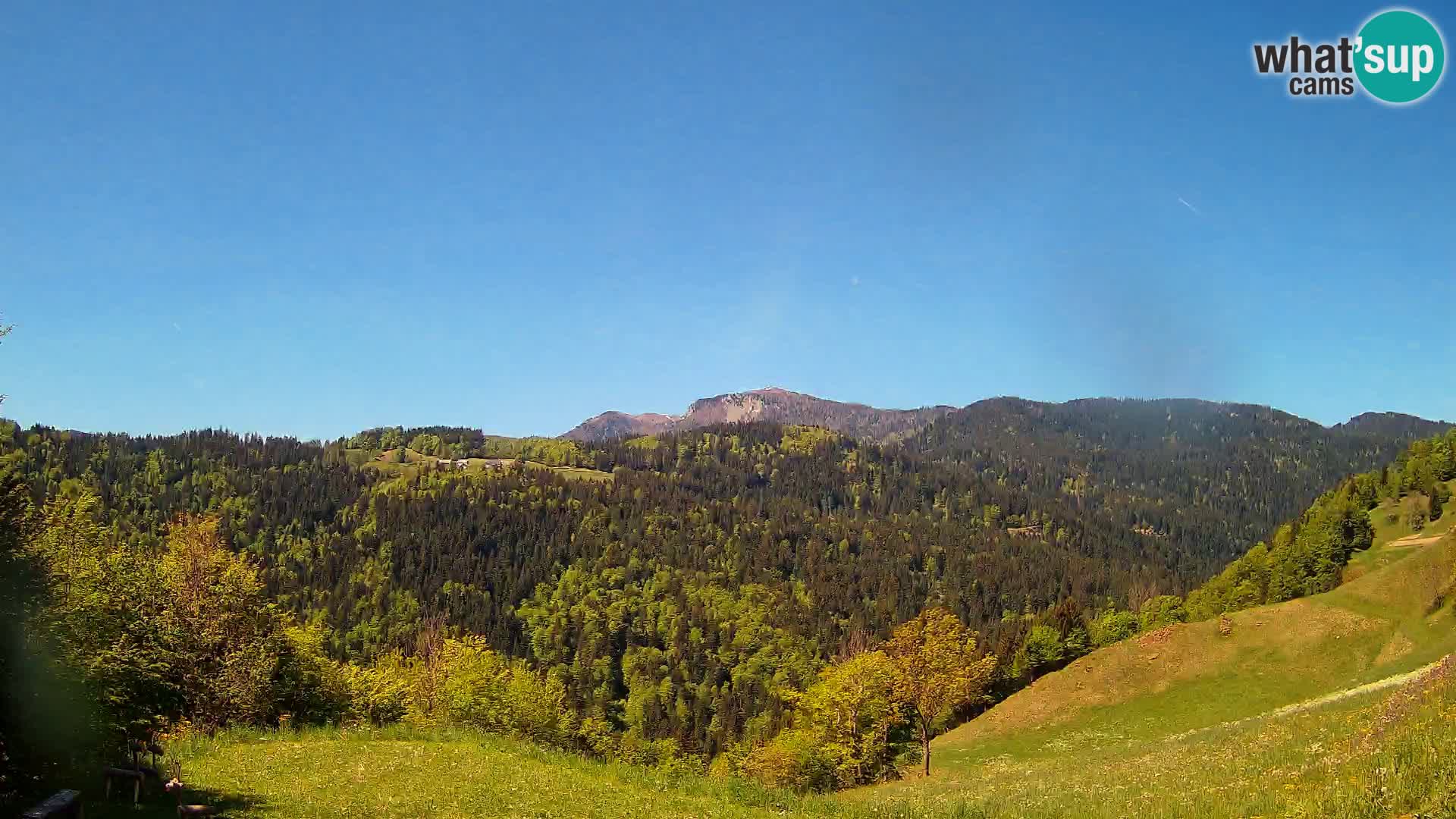 Webcam Brunarica Dražgoše – Live View of Ratitovec (1666 m)