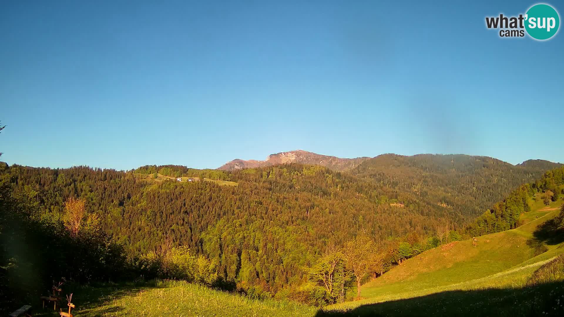 Webcam Brunarica Dražgoše – Live View of Ratitovec (1666 m)