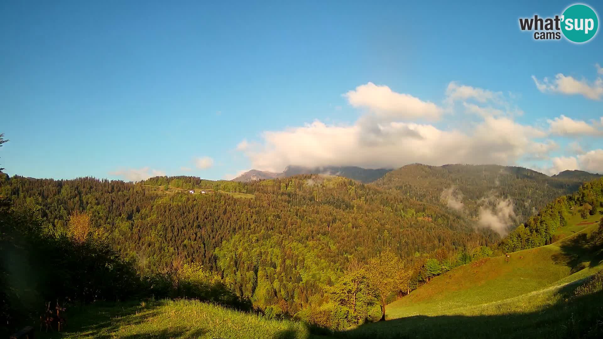 Spletna kamera Brunarica Dražgoše – Pogled v živo na Ratitovec (1666 m)