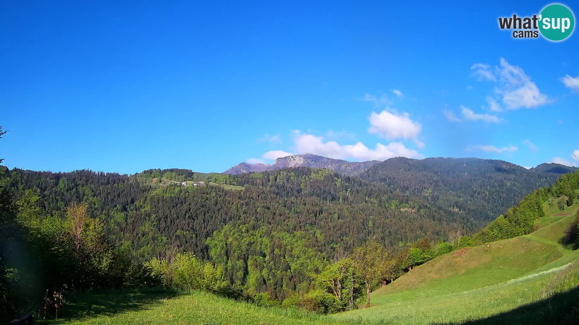 Spletna kamera Brunarica Dražgoše – Pogled v živo na Ratitovec (1666 m)