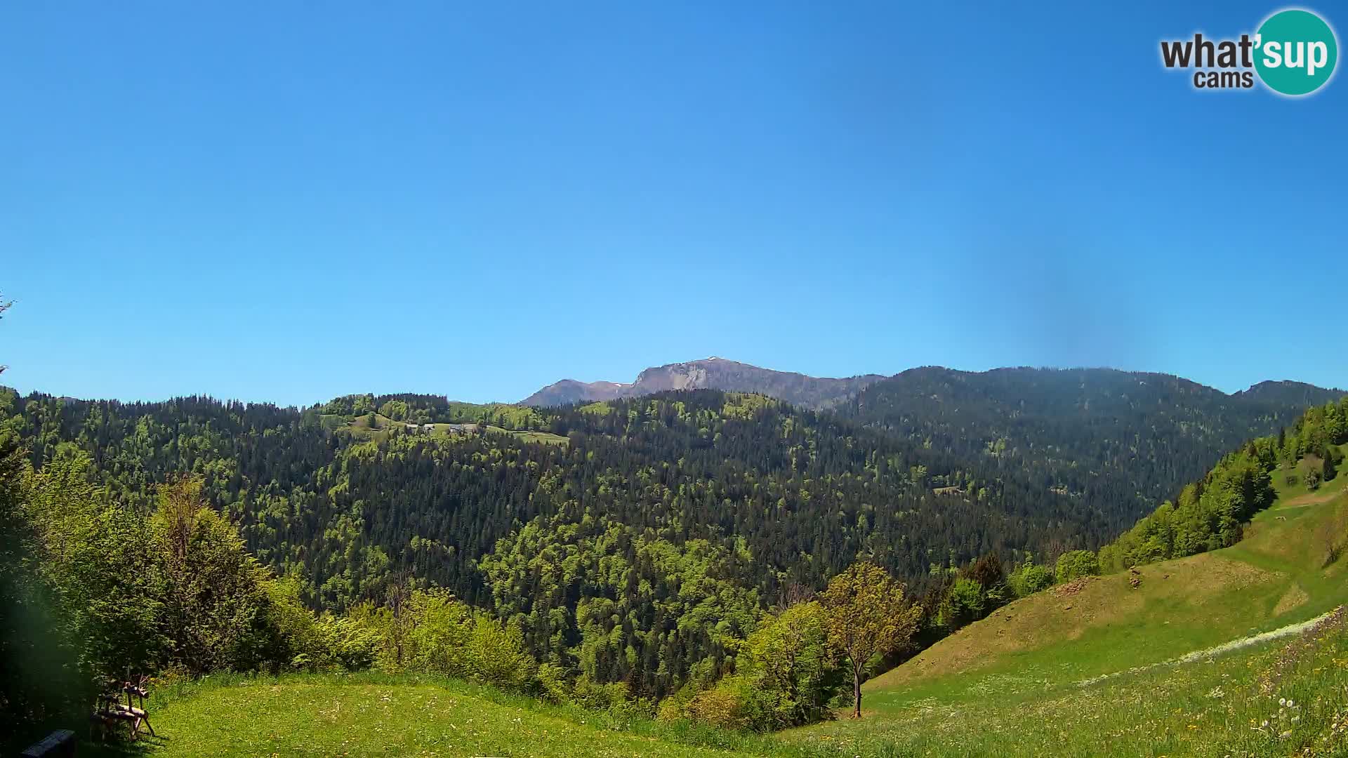 Webcam Brunarica Dražgoše – Live View of Ratitovec (1666 m)