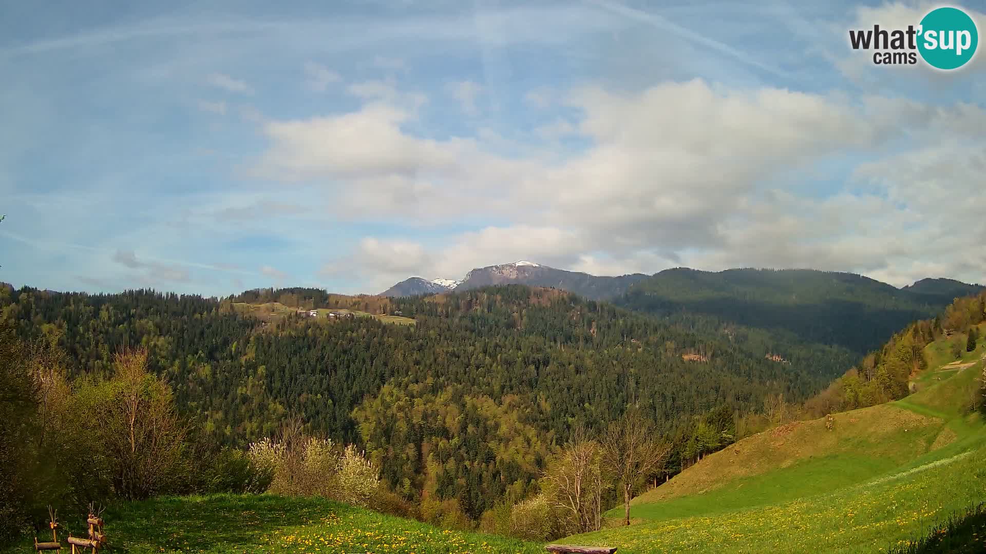 Webcam Brunarica Dražgoše – Live View of Ratitovec (1666 m)