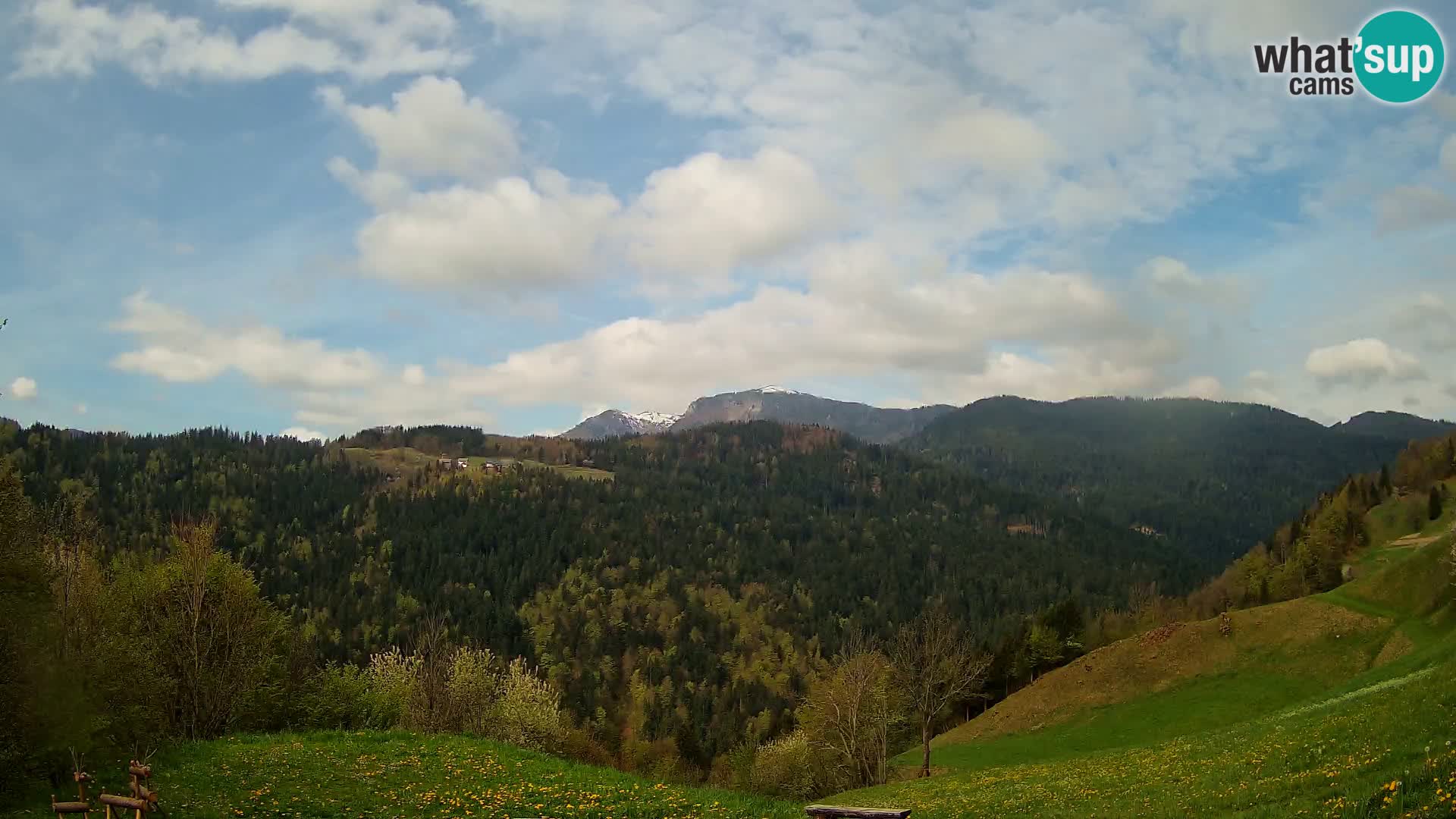 Webcam Brunarica Dražgoše – Live View of Ratitovec (1666 m)