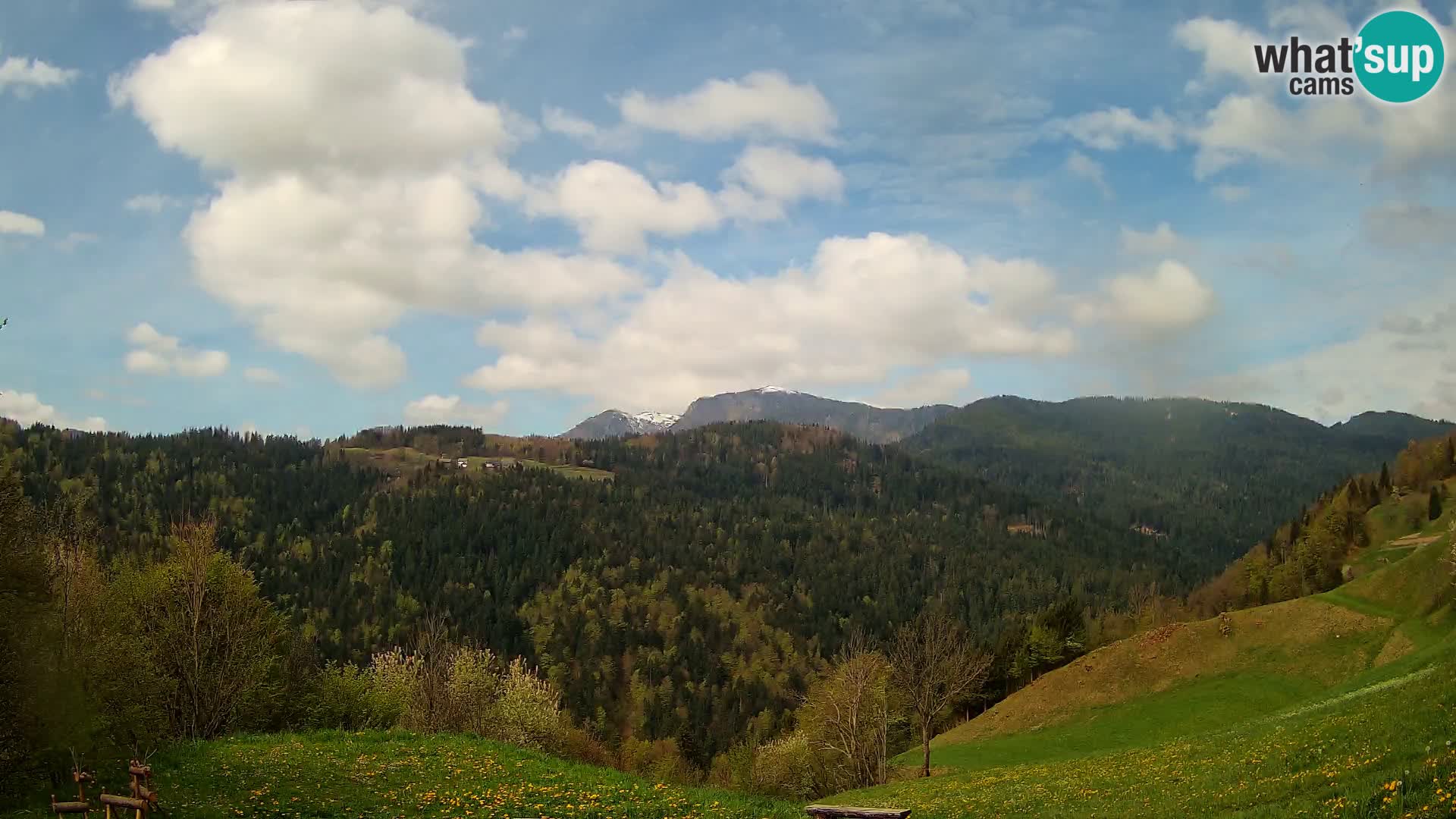 Webcam Brunarica Dražgoše – Live View of Ratitovec (1666 m)