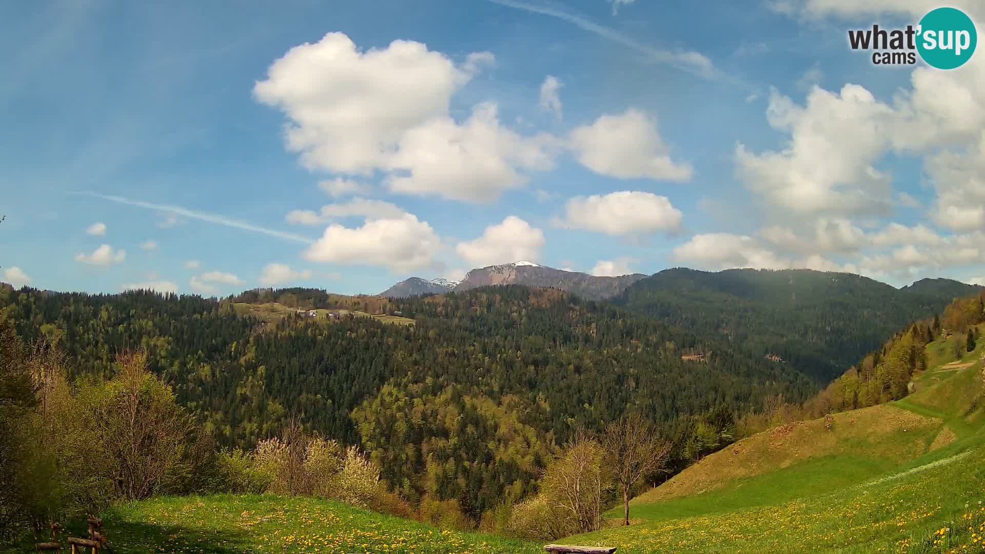 Webcam Brunarica Dražgoše – Live View of Ratitovec (1666 m)