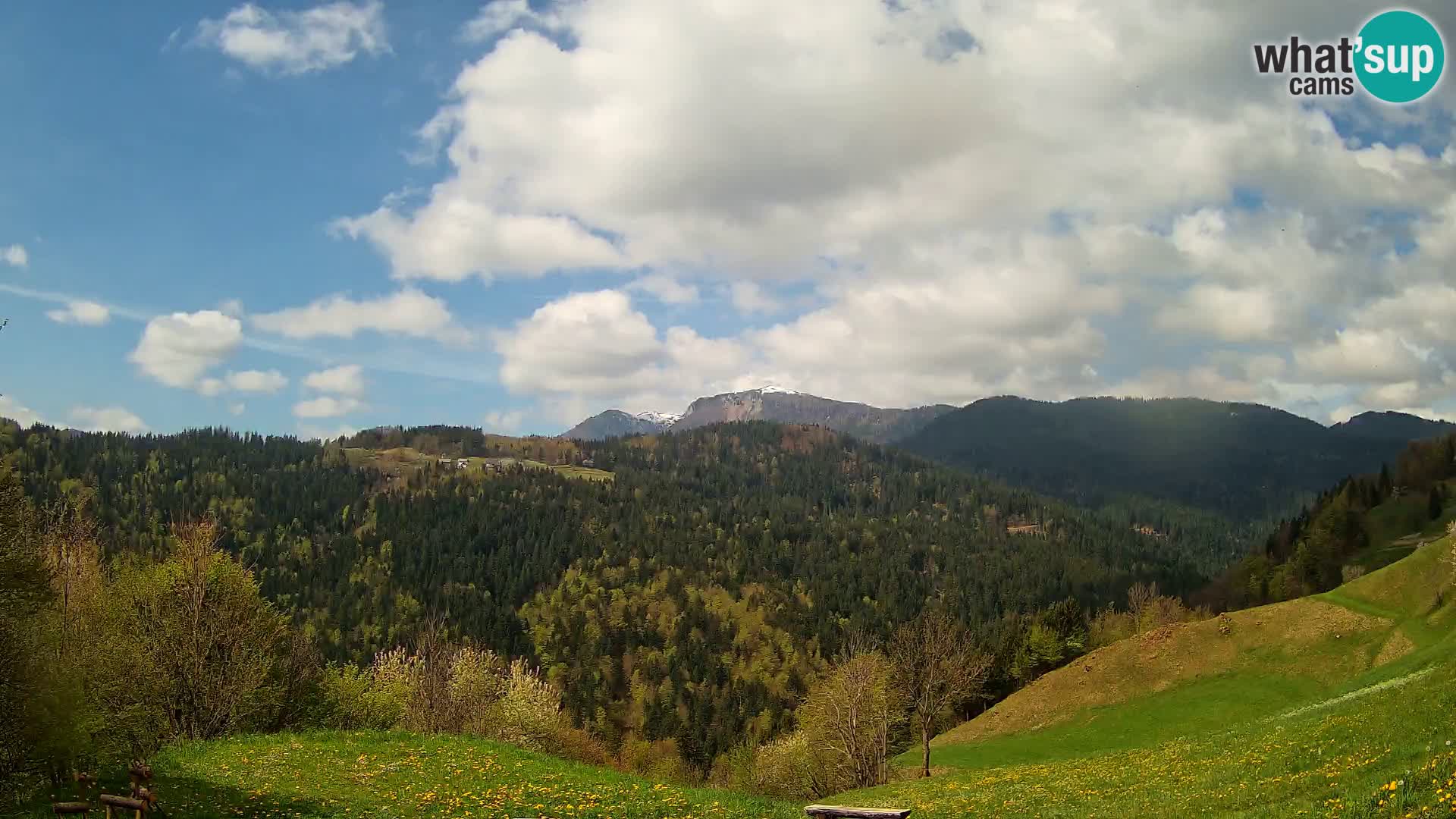 Webcam Brunarica Dražgoše – Live View of Ratitovec (1666 m)