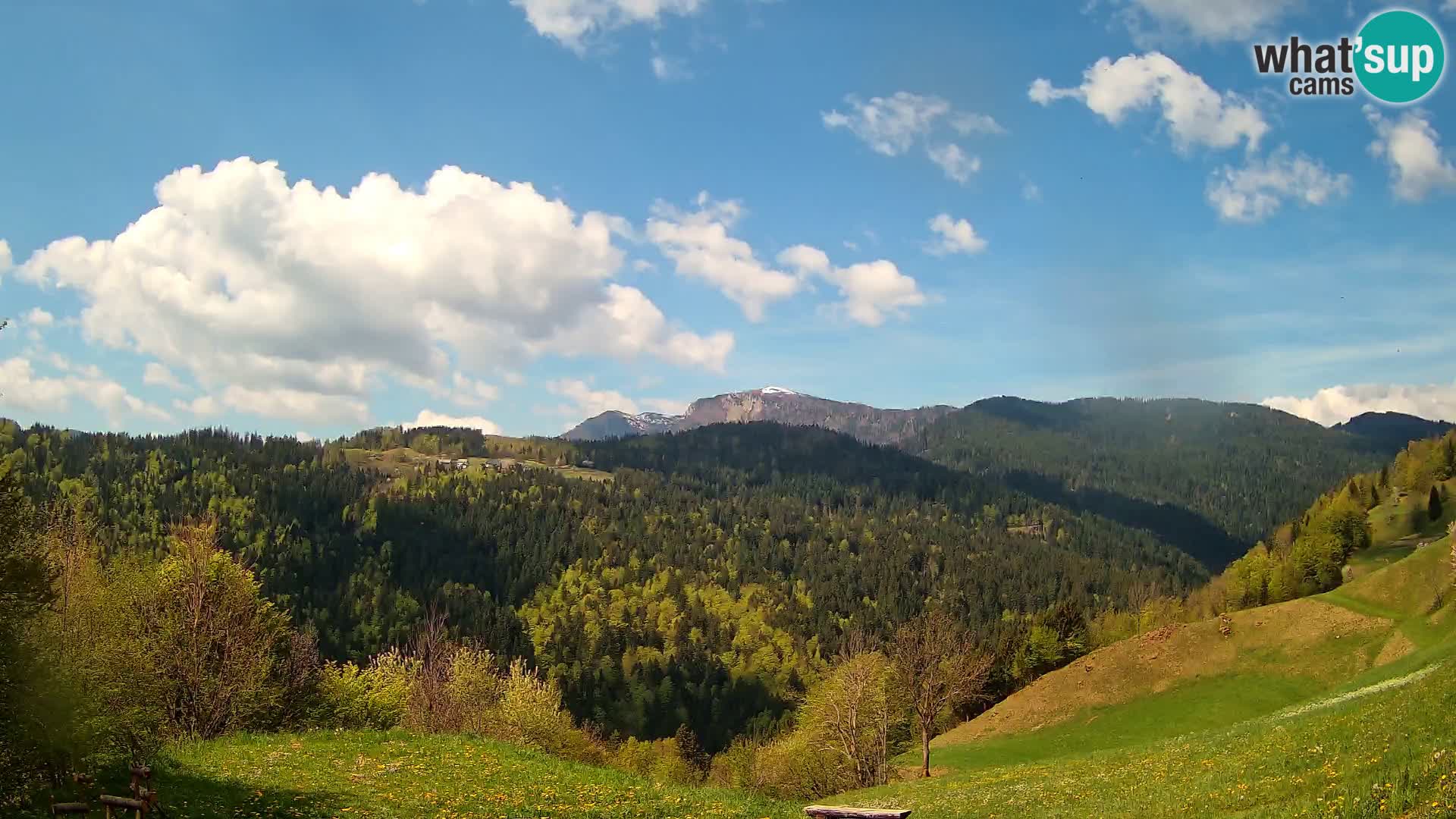 Webcam Brunarica Dražgoše – Live View of Ratitovec (1666 m)