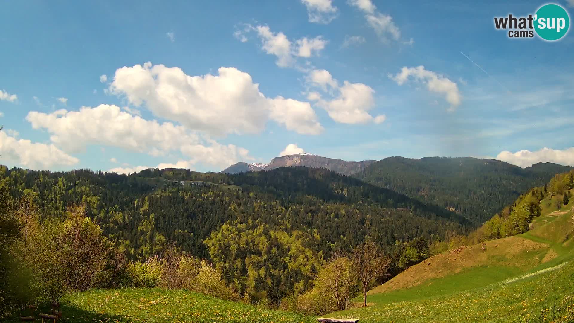 Webcam Brunarica Dražgoše – Vista live sul Ratitovec (1666 m)