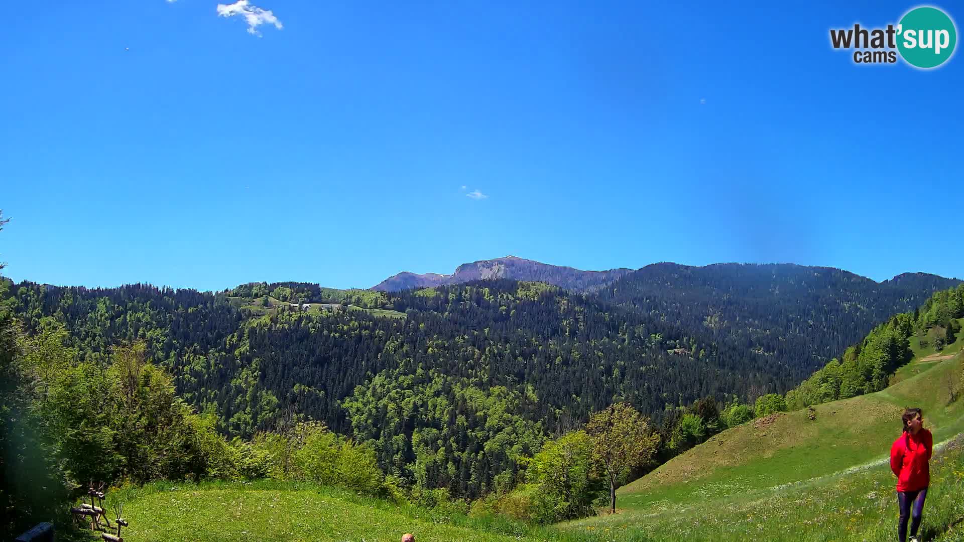 Spletna kamera Brunarica Dražgoše – Pogled v živo na Ratitovec (1666 m)
