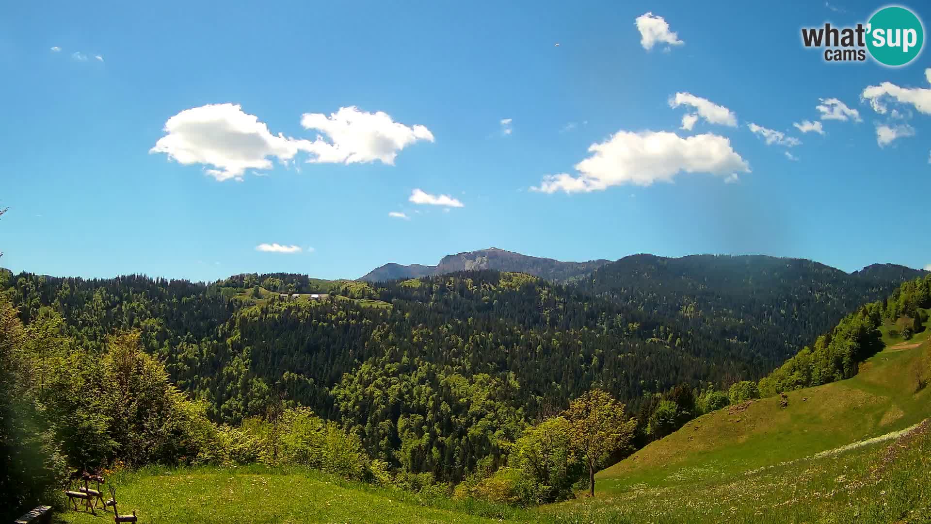 Web kamera Brunarica Dražgoše – Pogled uživo na Ratitovec (1666 m)