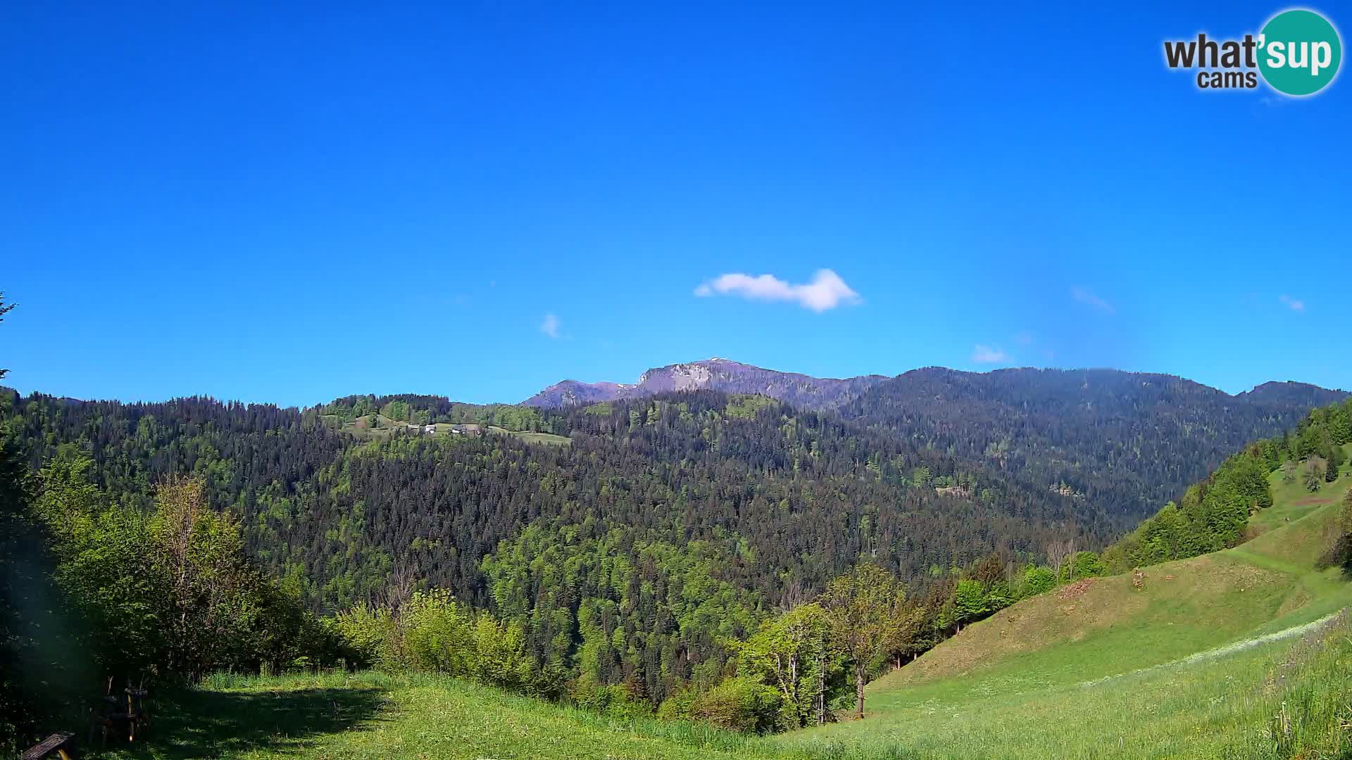Spletna kamera Brunarica Dražgoše – Pogled v živo na Ratitovec (1666 m)