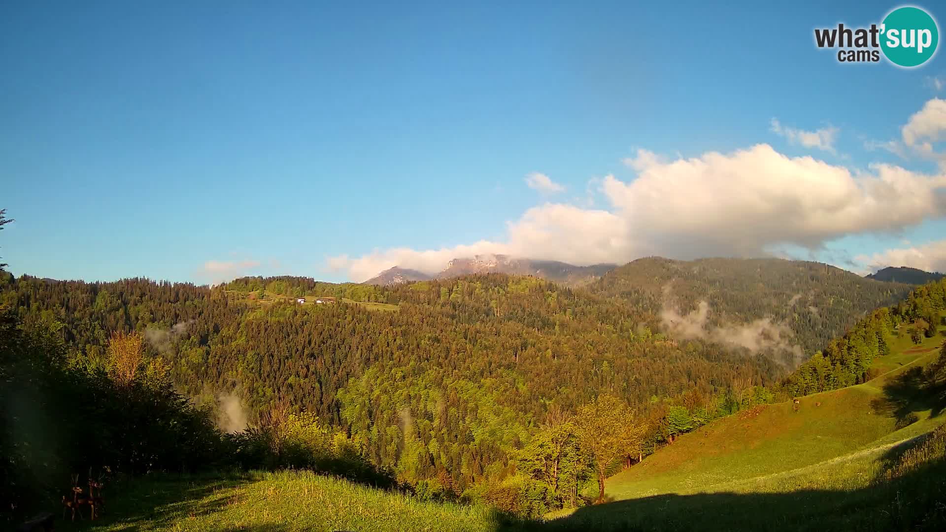 Webcam Brunarica Dražgoše – Live View of Ratitovec (1666 m)