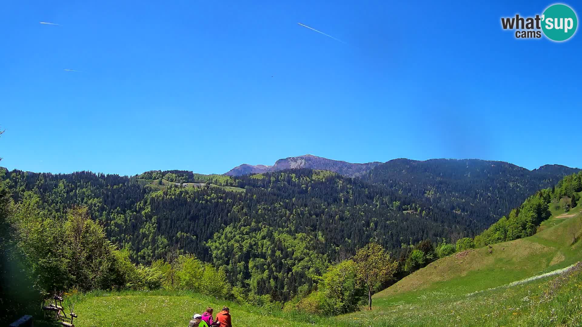 Webcam Brunarica Dražgoše – Live View of Ratitovec (1666 m)