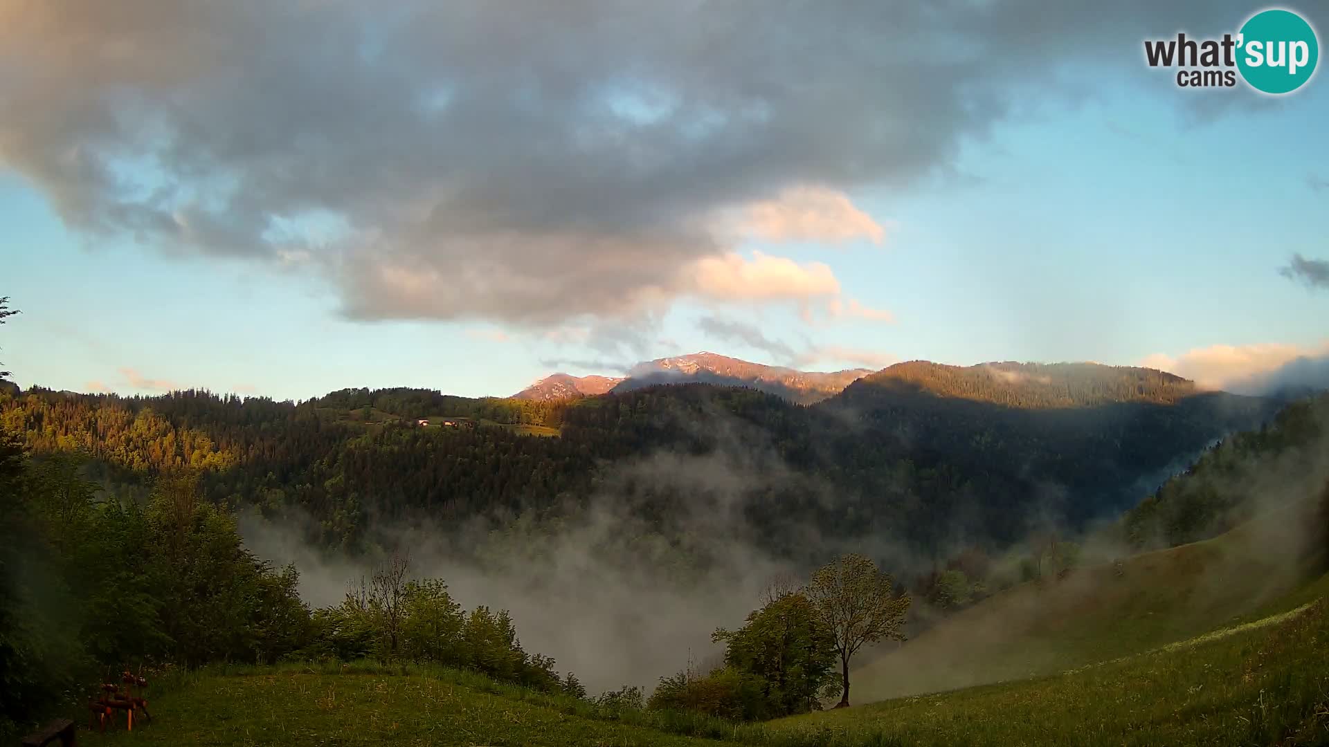 Webcam Brunarica Dražgoše – Live View of Ratitovec (1666 m)