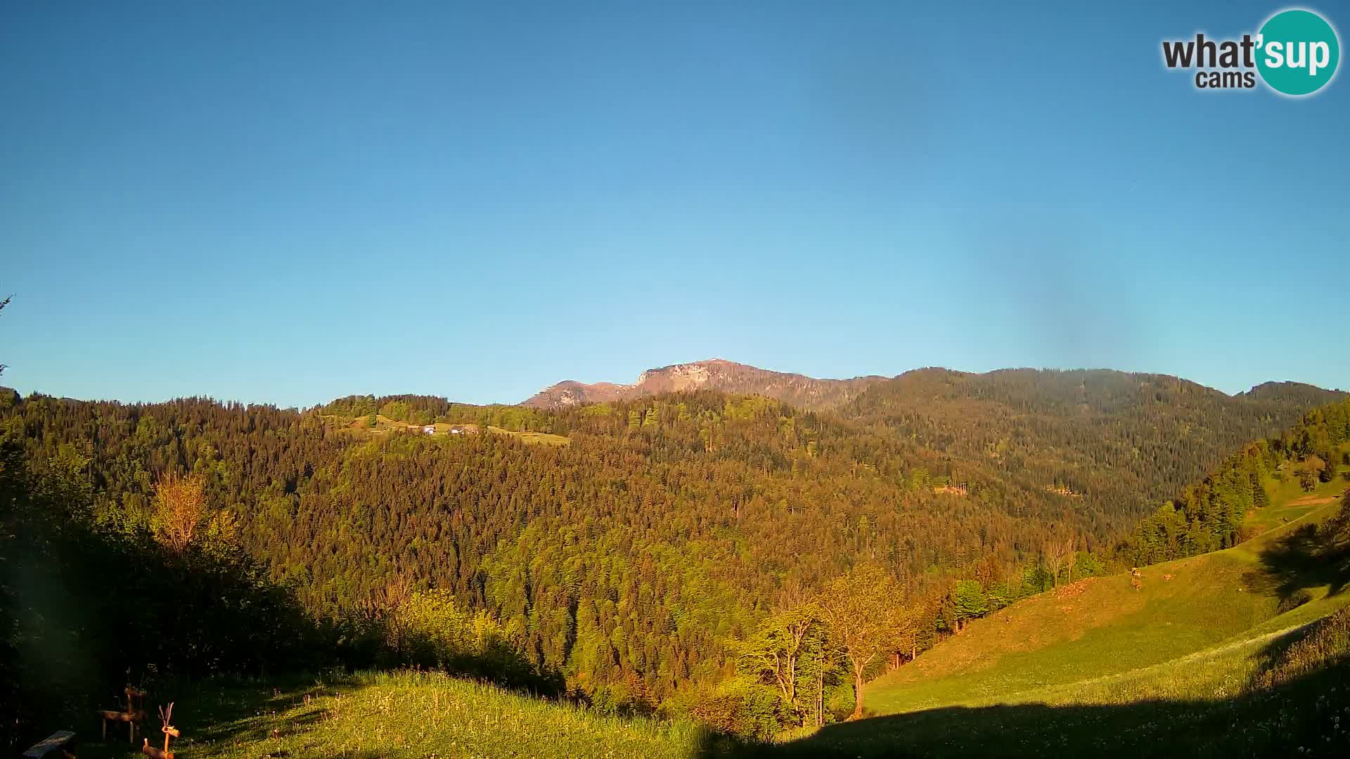 Webcam Brunarica Dražgoše – Live View of Ratitovec (1666 m)